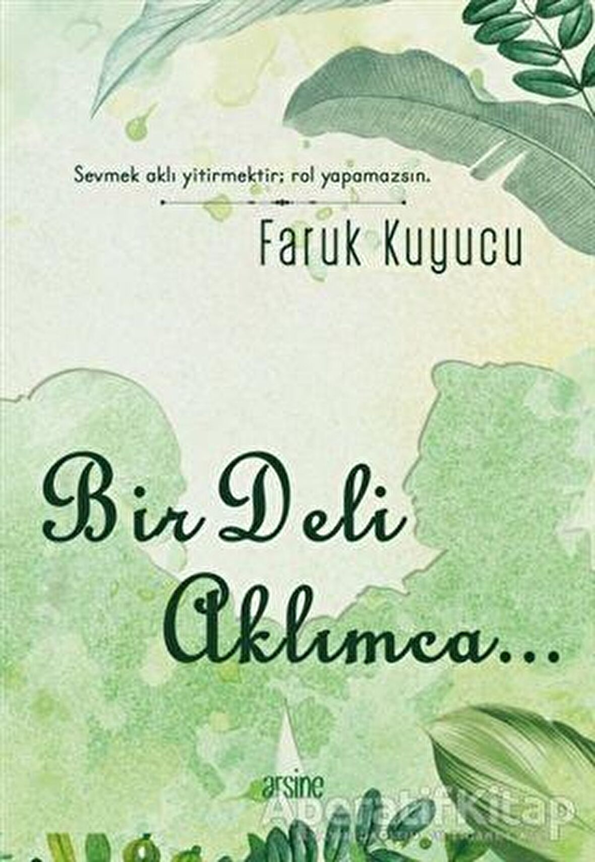 Bir Deli Aklımca