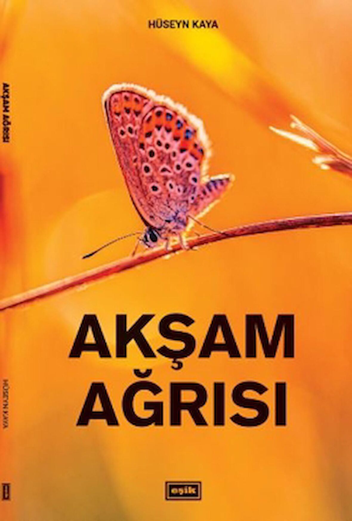 Akşam Ağrısı