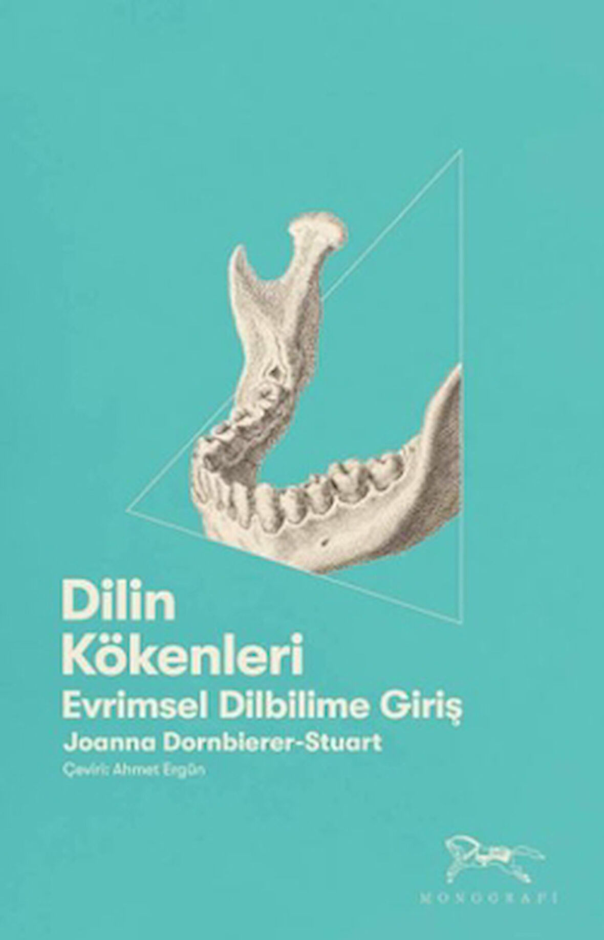 Dilin Kökenleri