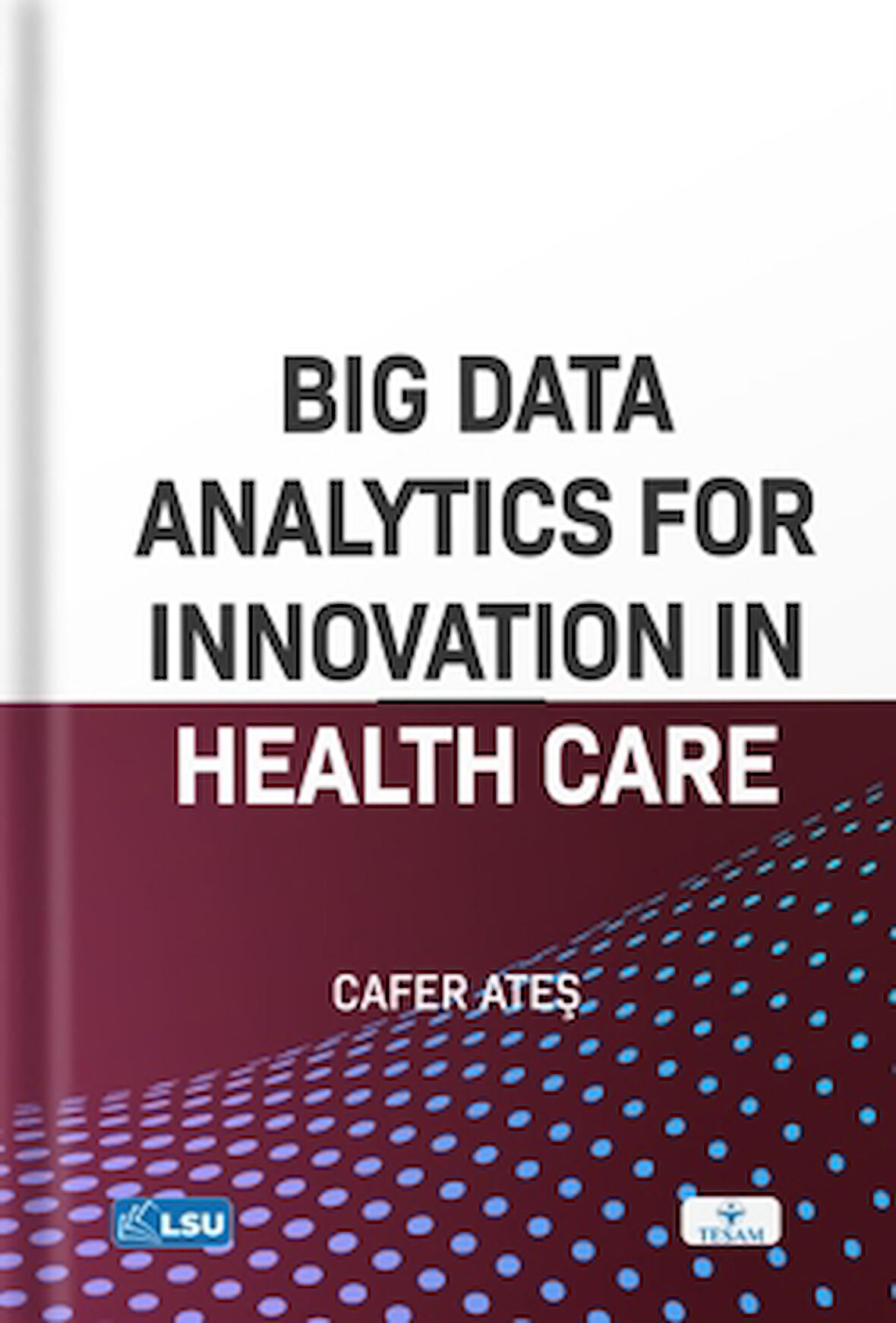 Big Data Analytics for Innovation in Health Care