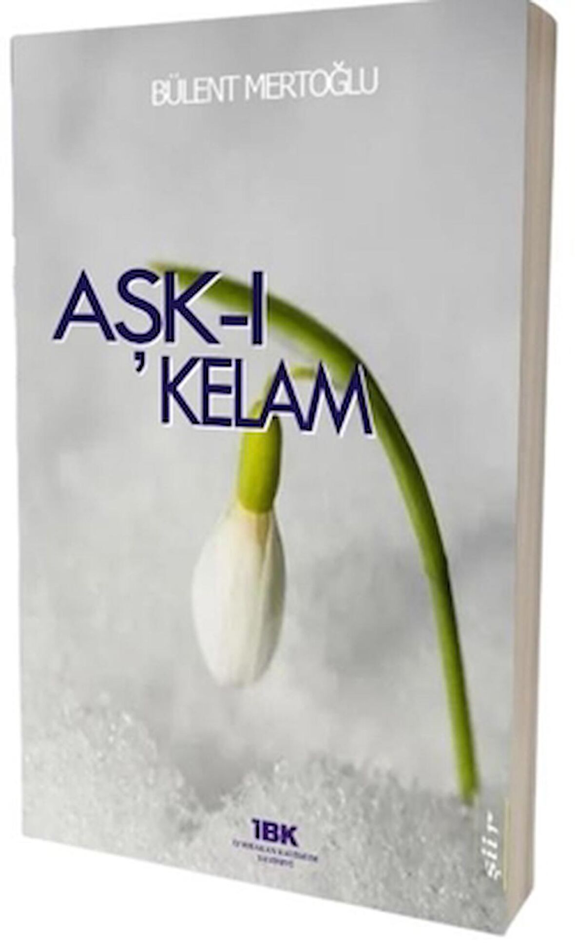 Aşk-ı Kelam