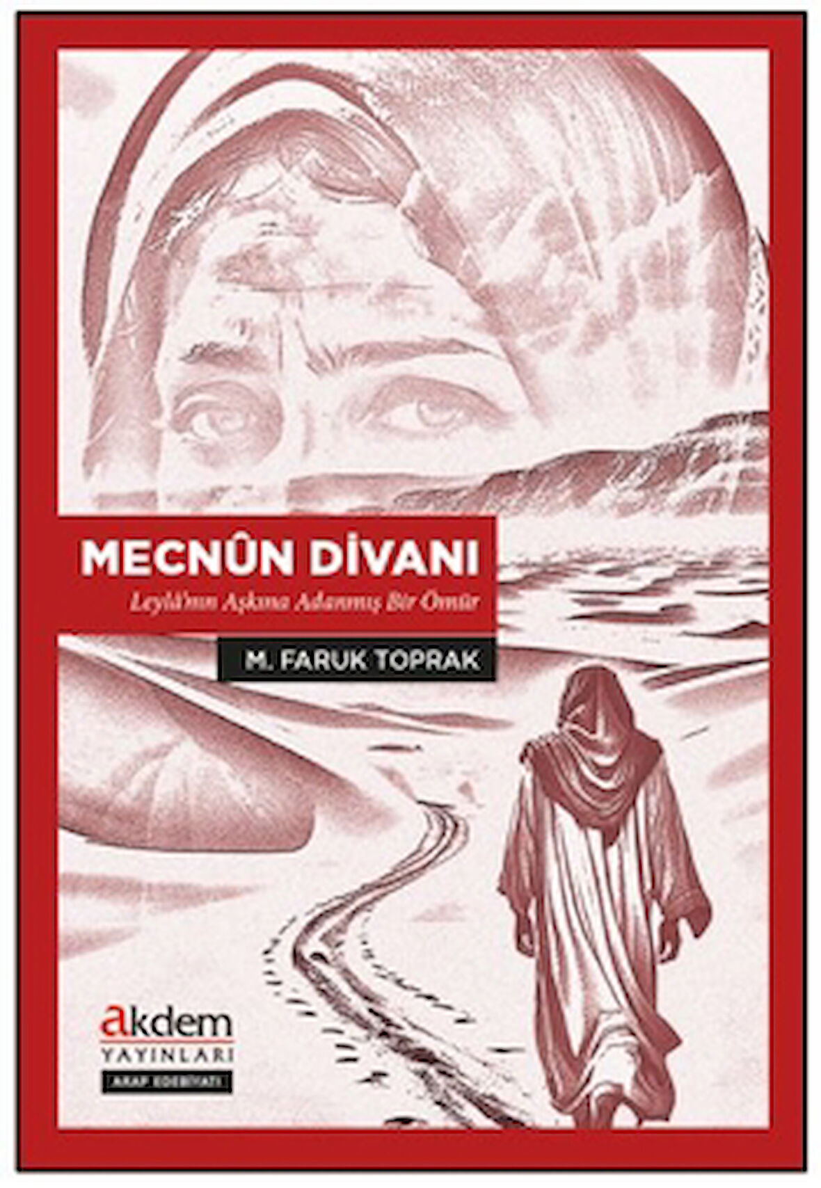 Mecnûn Divanı