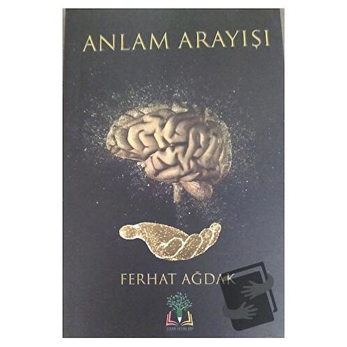 Anlam Arayışı