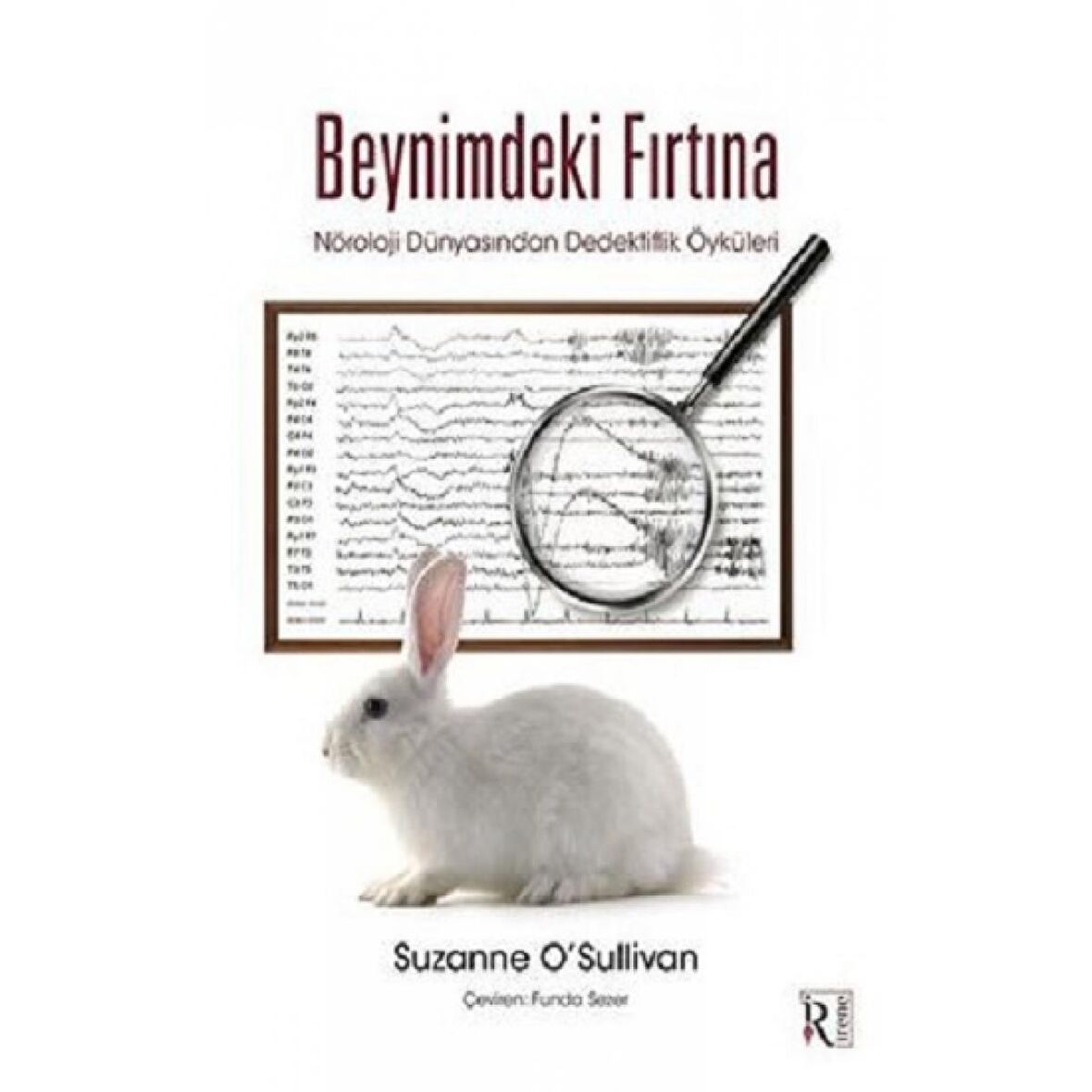 Beynimdeki Fırtına