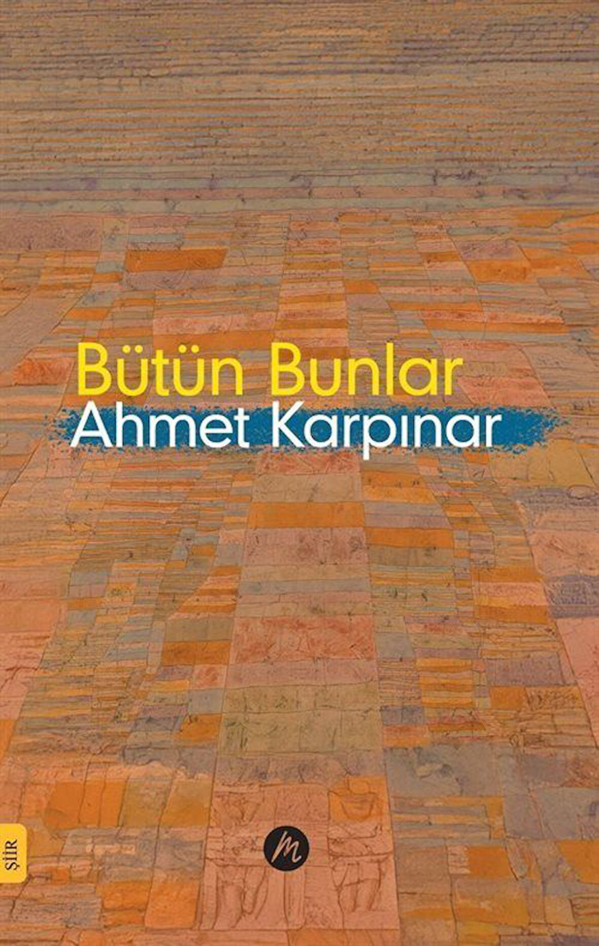 Bütün Bunlar / Ahmet Karpınar