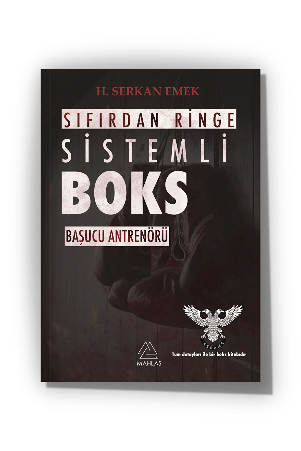 SIFIRDAN RİNGE SİSTEMLİ BOKS BAŞUCU ANTRENÖRÜ