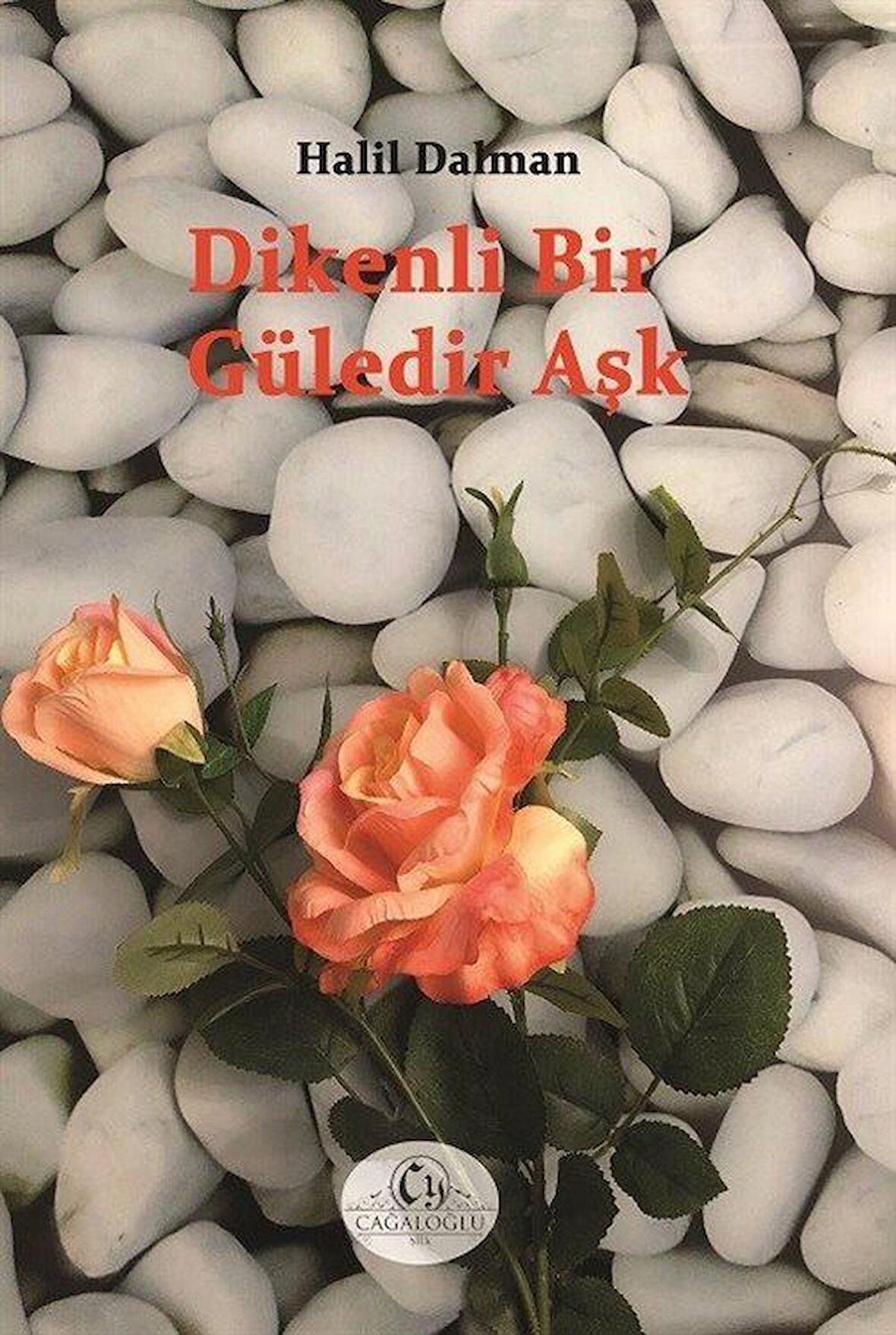 Dikenli Bir Güledir Aşk