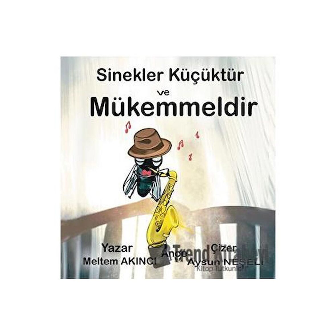 Sinekler Küçüktür ve Mükemmeldir