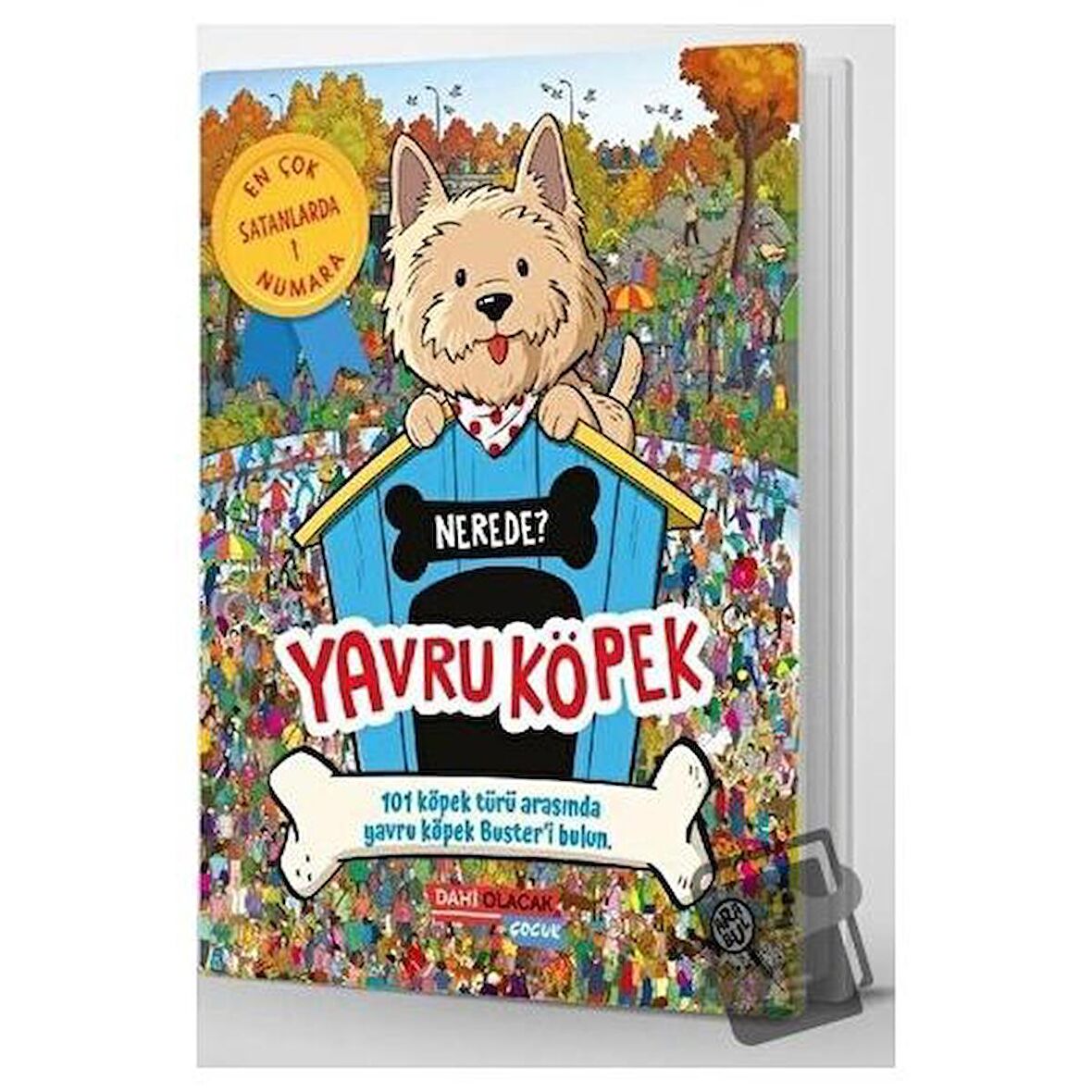 Yavru Köpek Nerede?