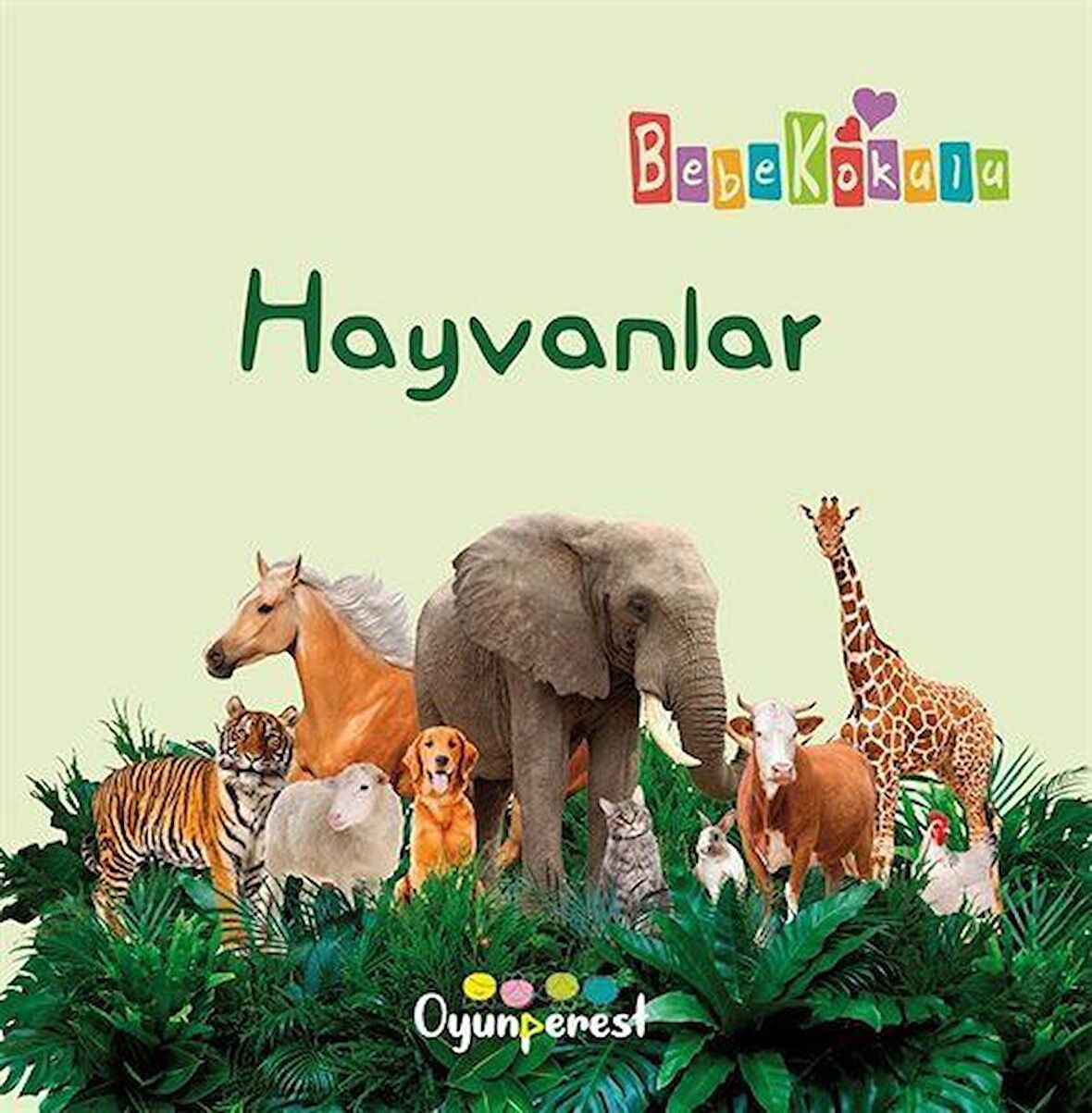 Hayvanlar