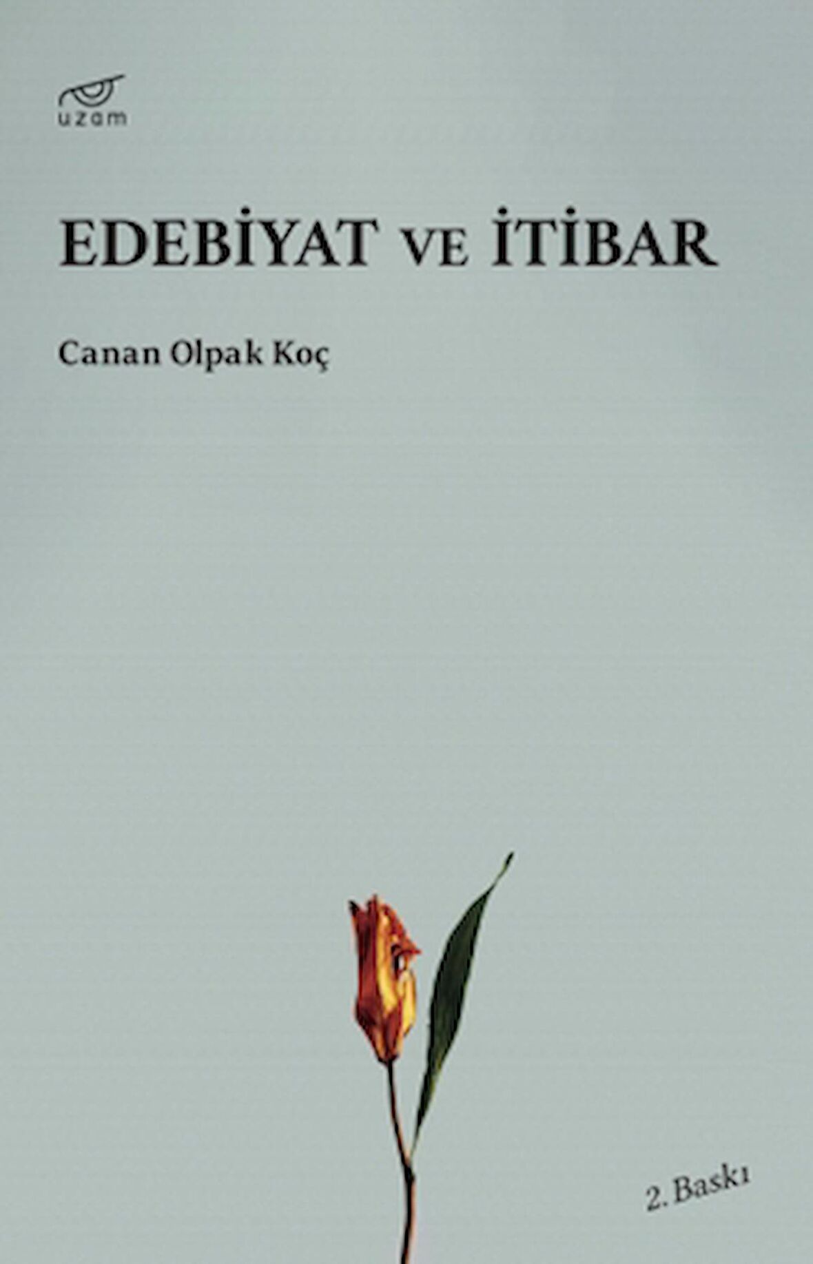 Edebiyat ve İtibar