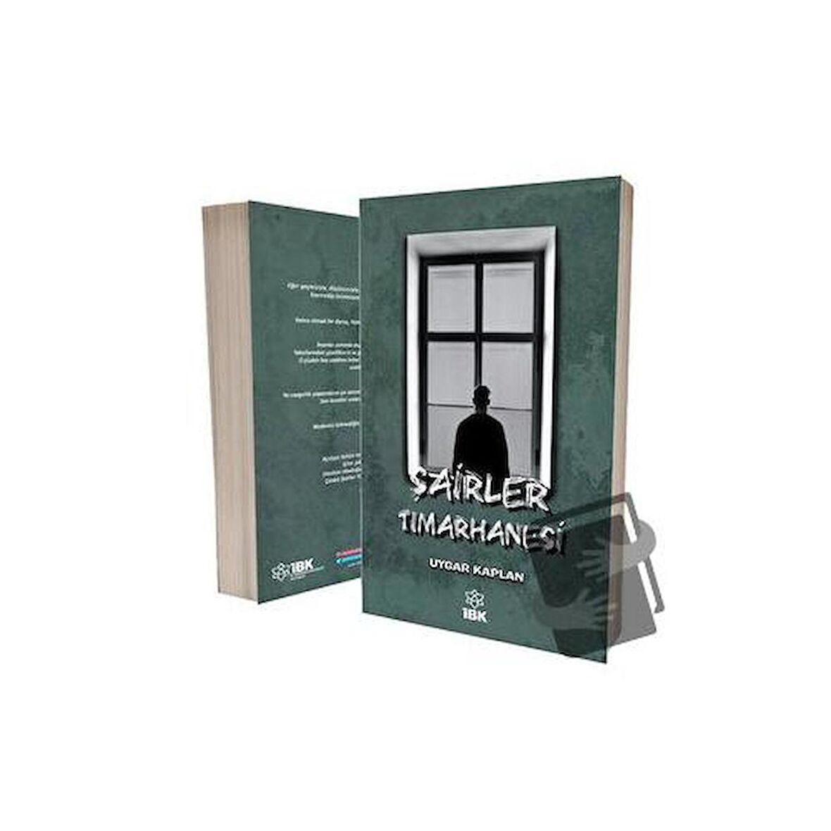 Şairler Tımarhanesi