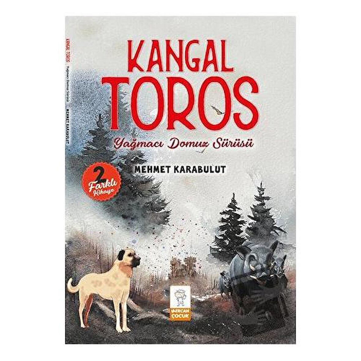 Kangal Toros - Yağmacı Domuz Sürüsü