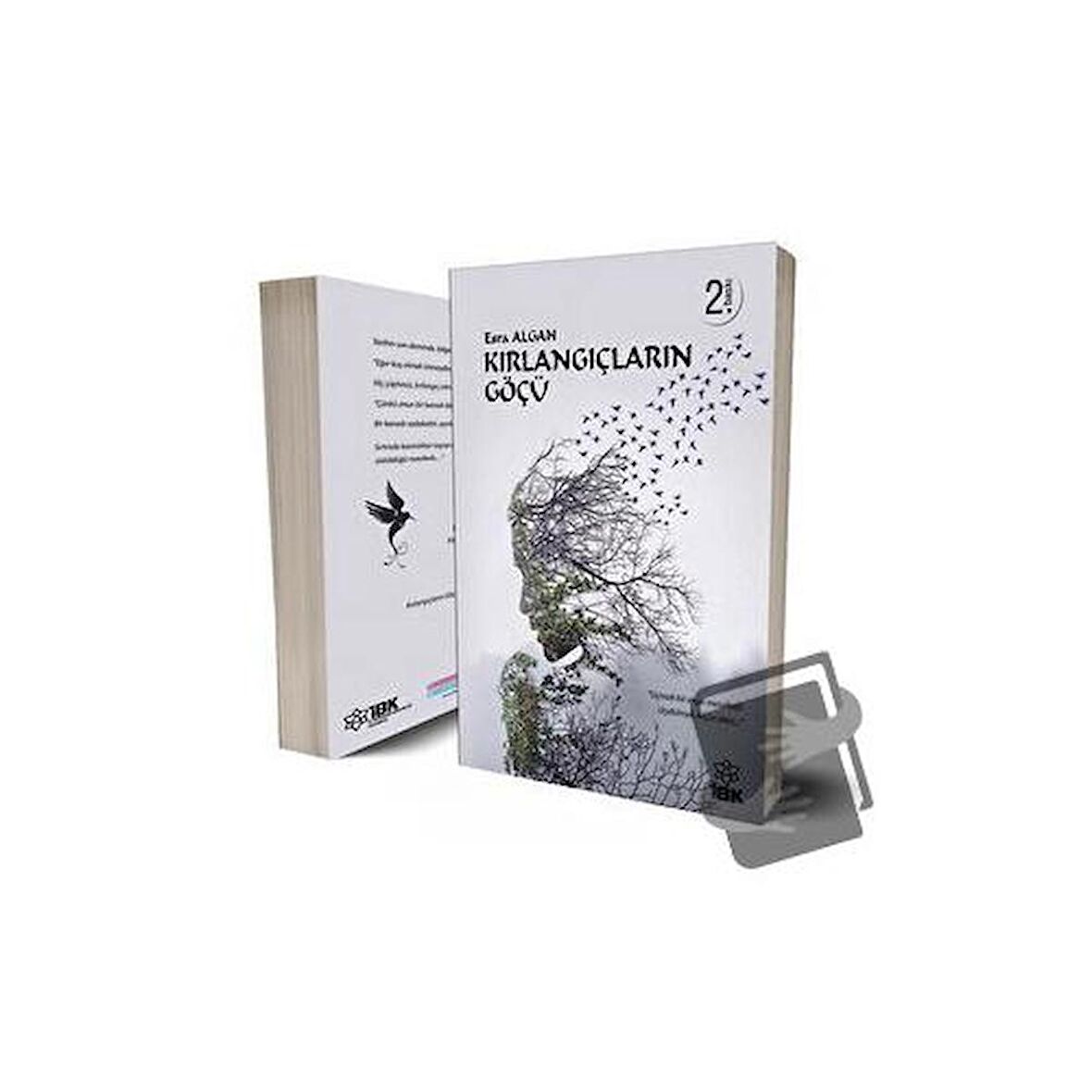 Kırlangıçların Göçü