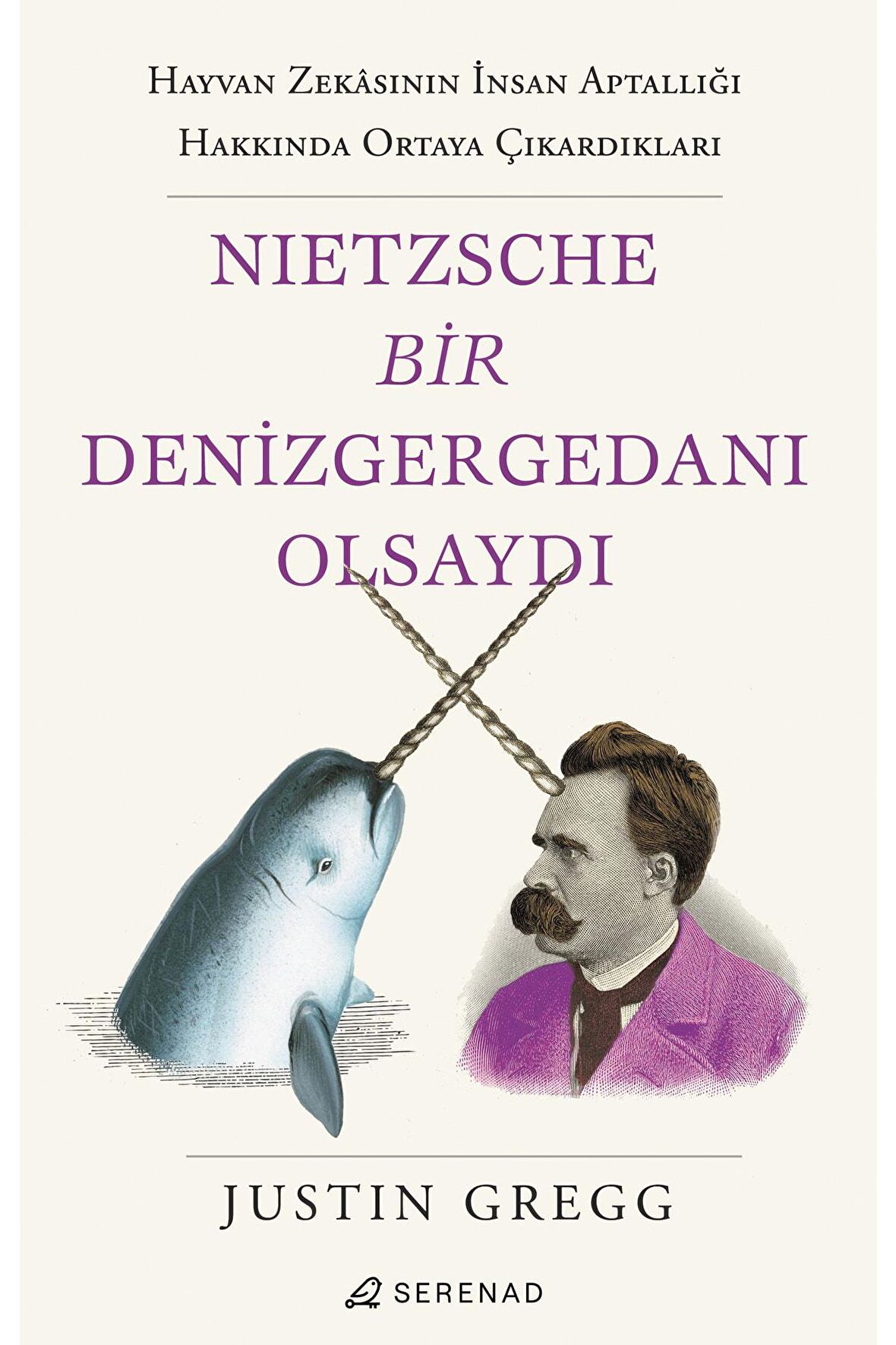 Nietzsche Bir Denizgergedanı Olsaydı