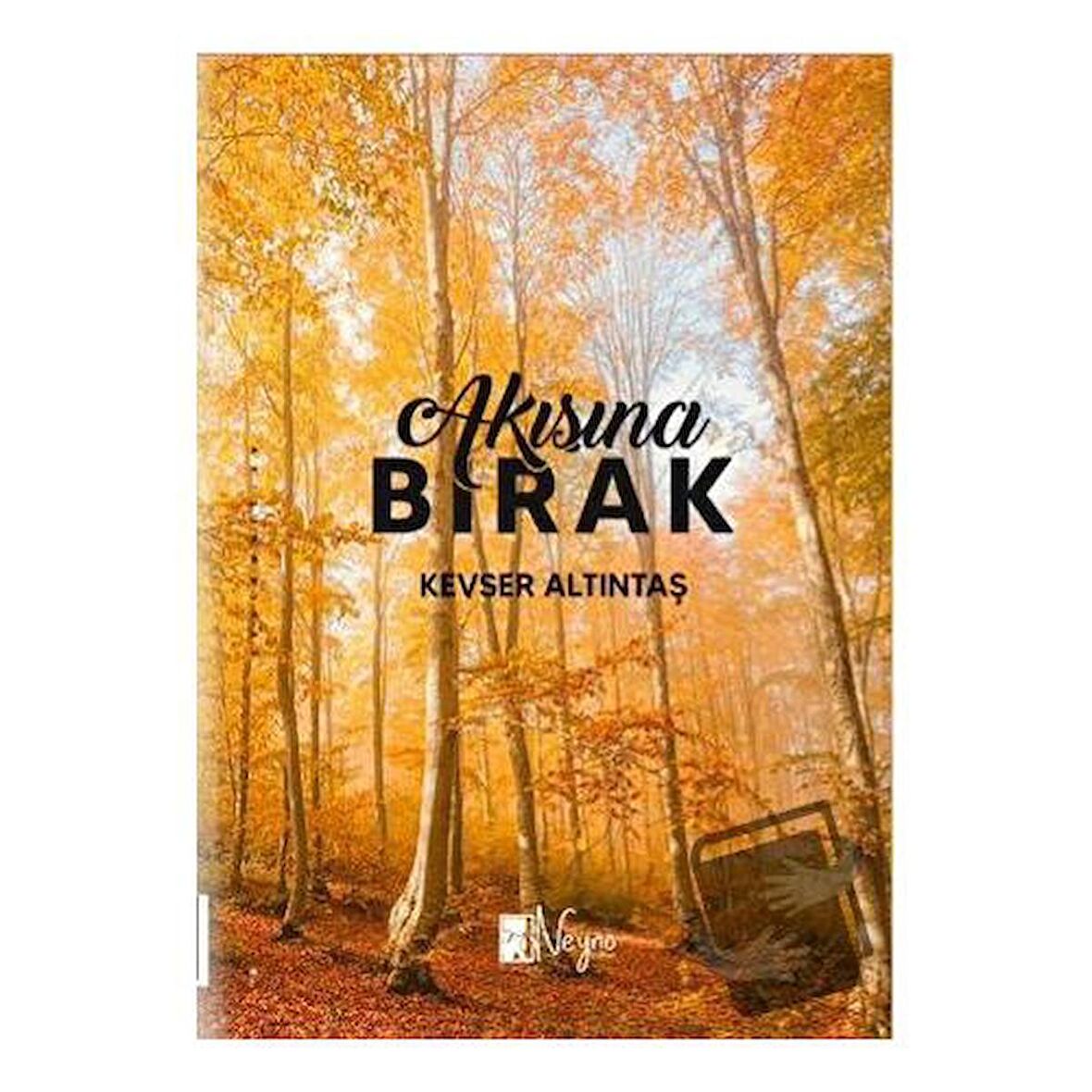 Akışına Bırak