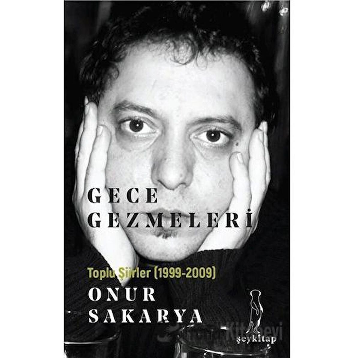 Gece Gezmeleri - Toplu Şiirler (1999-2009)