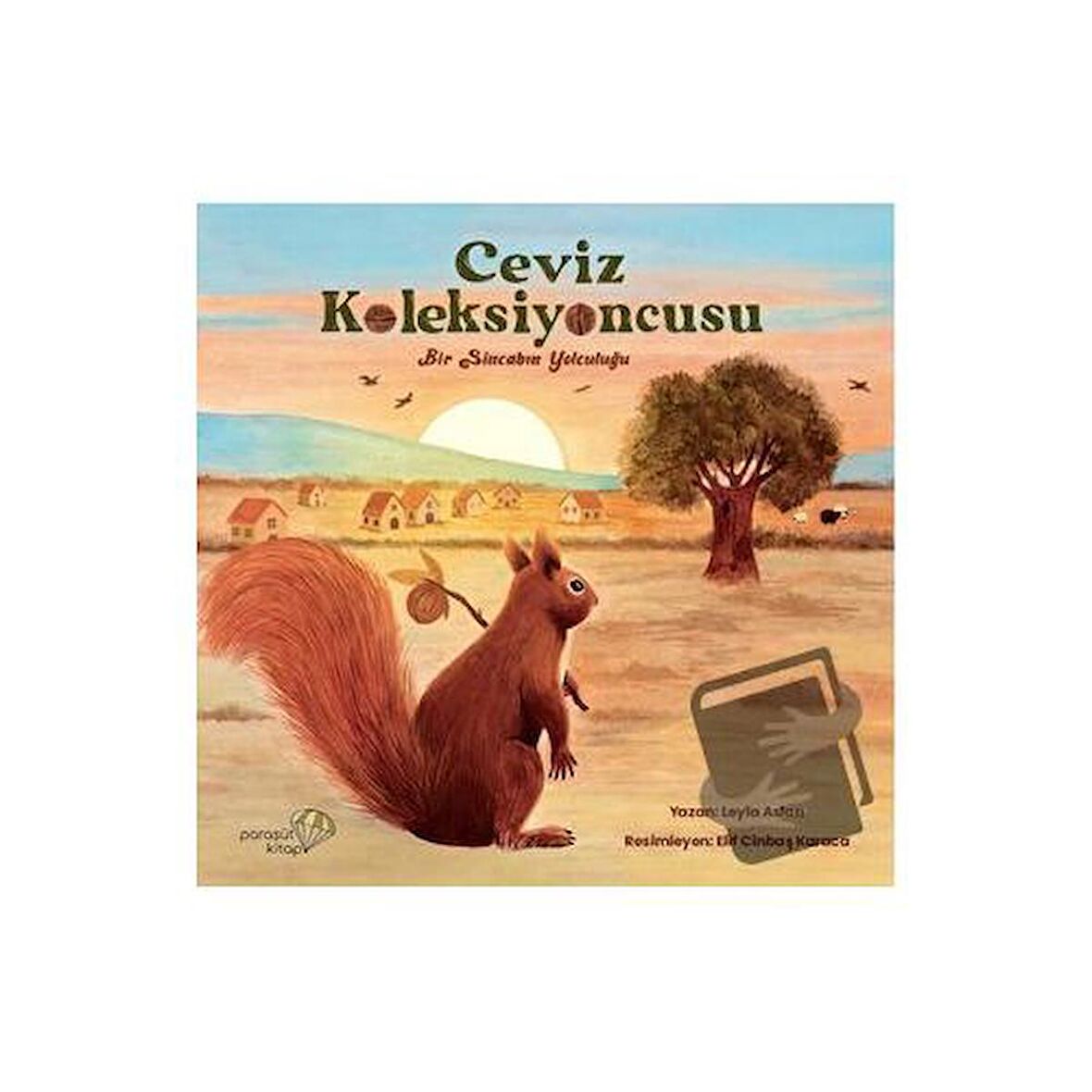 Ceviz Koleksiyoncusu