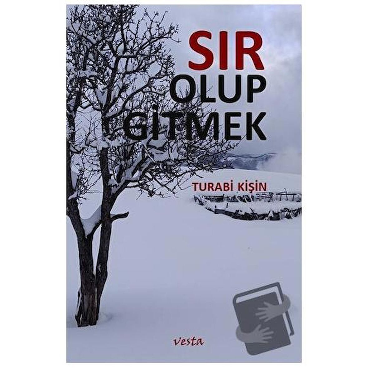 Sır Olup Gitmek