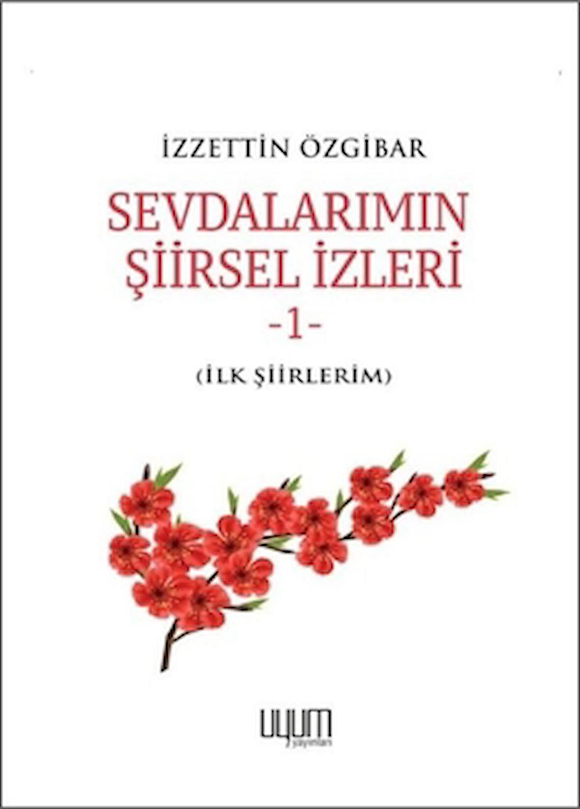 Sevdalarımın Şiirsel İzleri 1