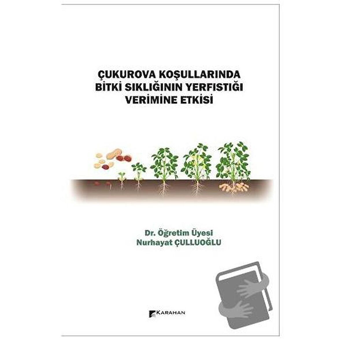 Çukurova Koşullarında Bitki Sıklığının Yerfıstığı Verimine Etkisi