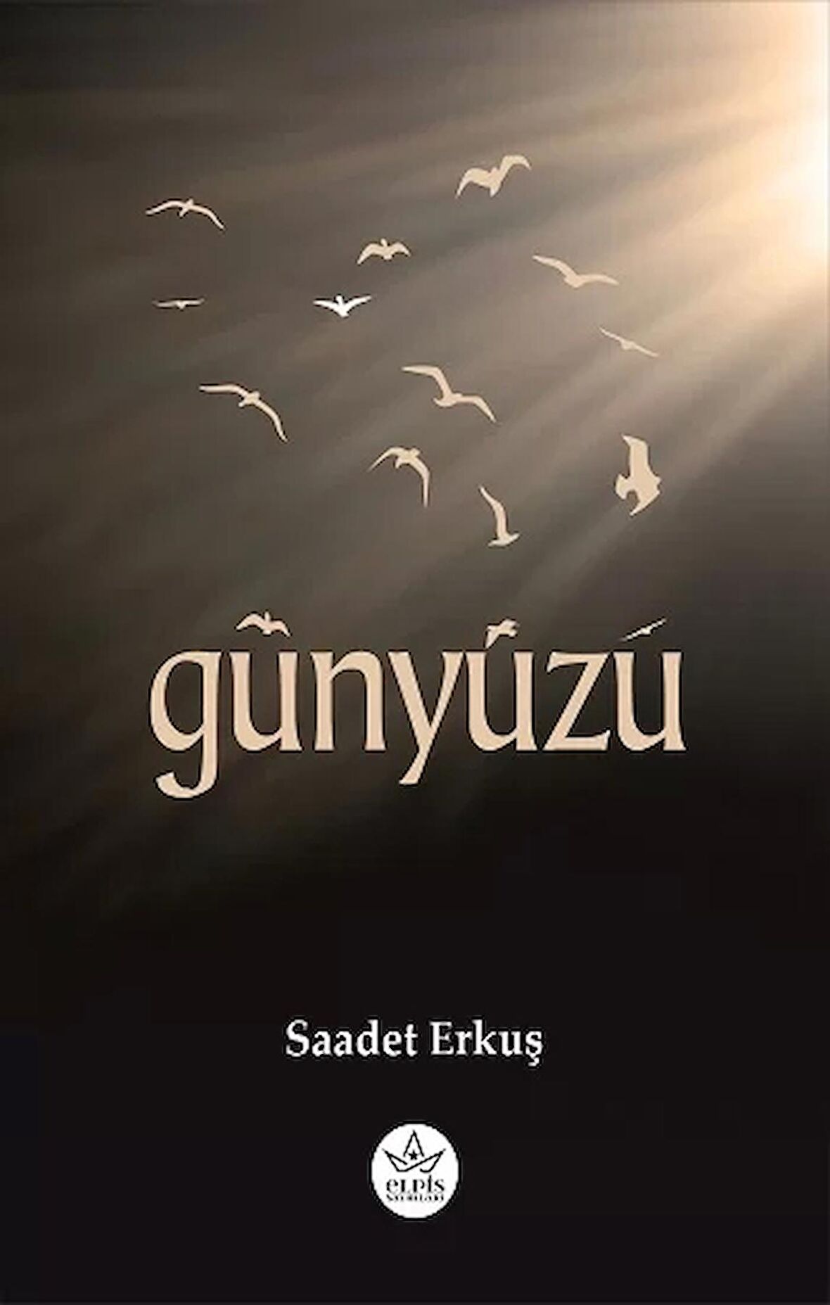 Günyüzü