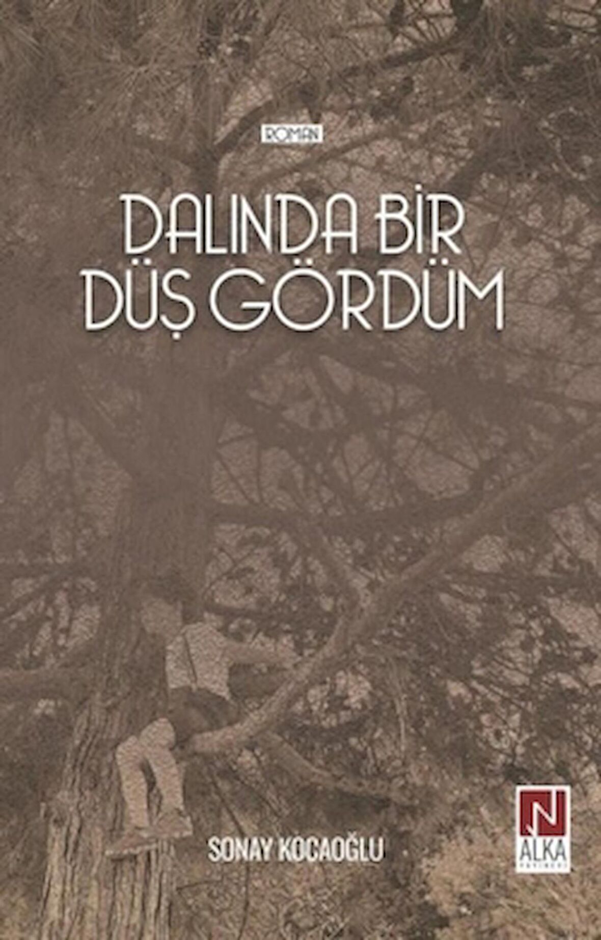 Dalında Bir Düş Gördüm