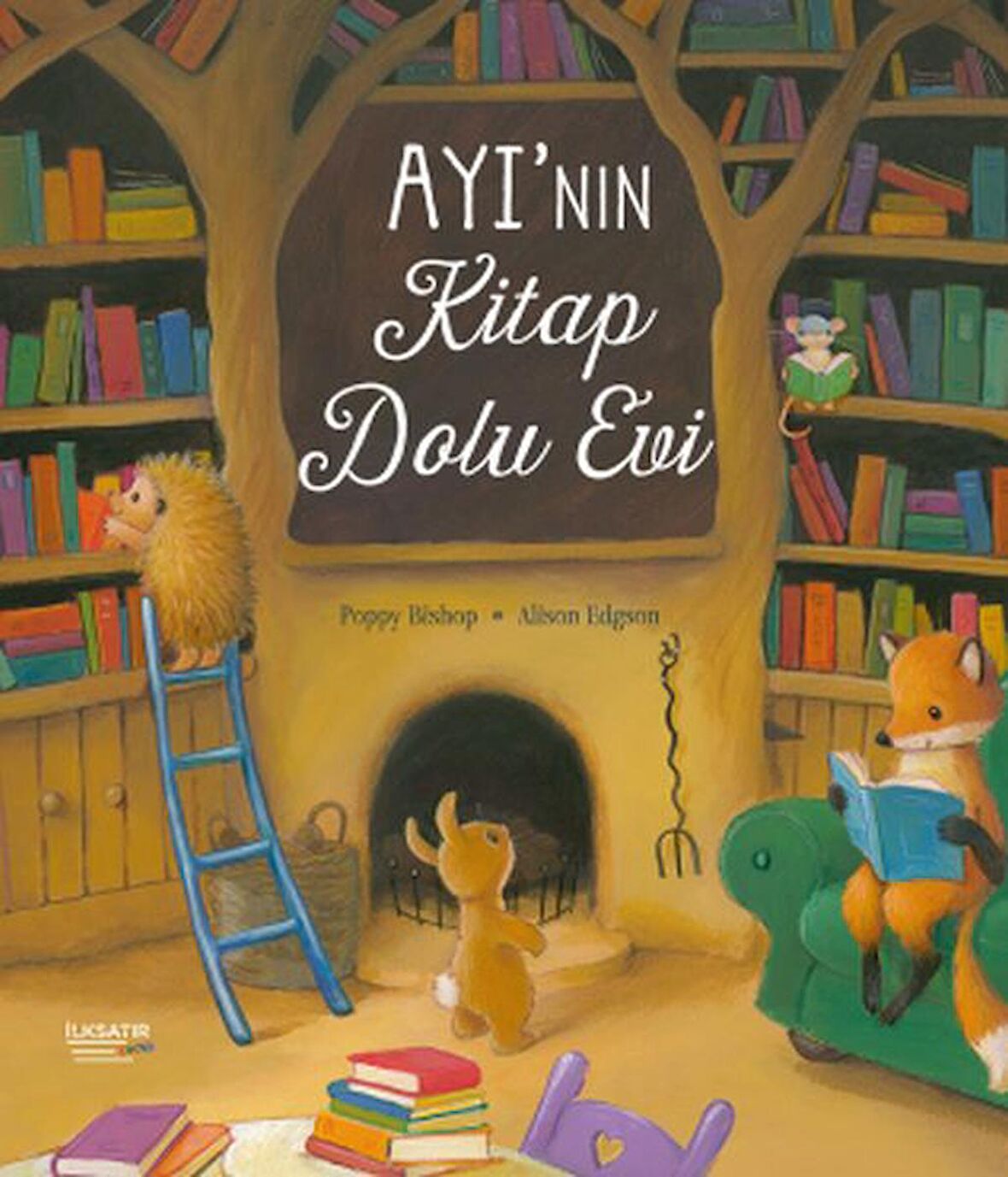 Ayı'nın Kitap Dolu Evi