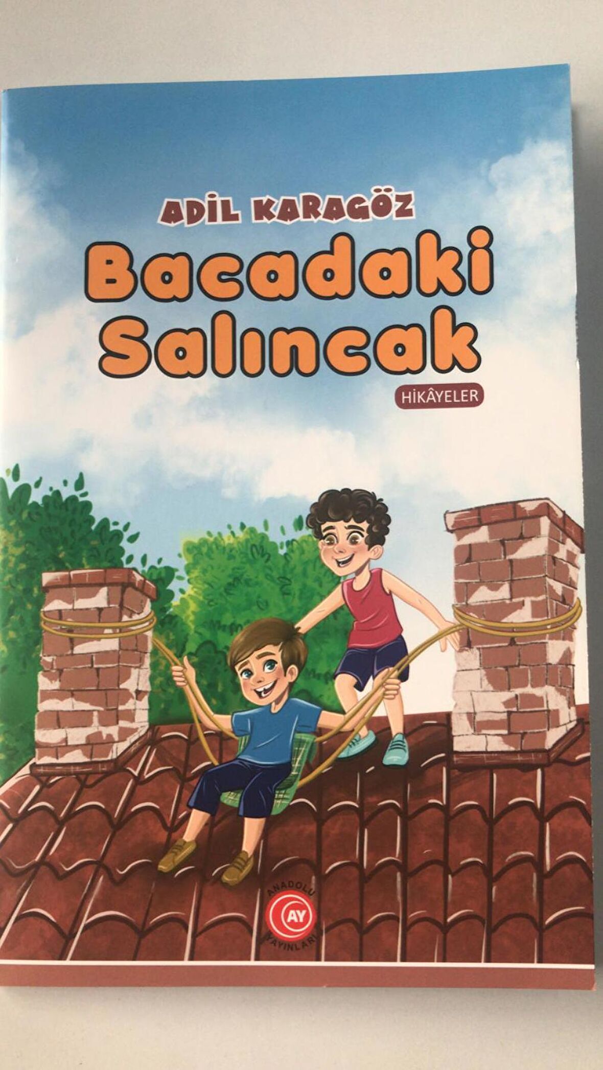 Bacadaki Salıncak