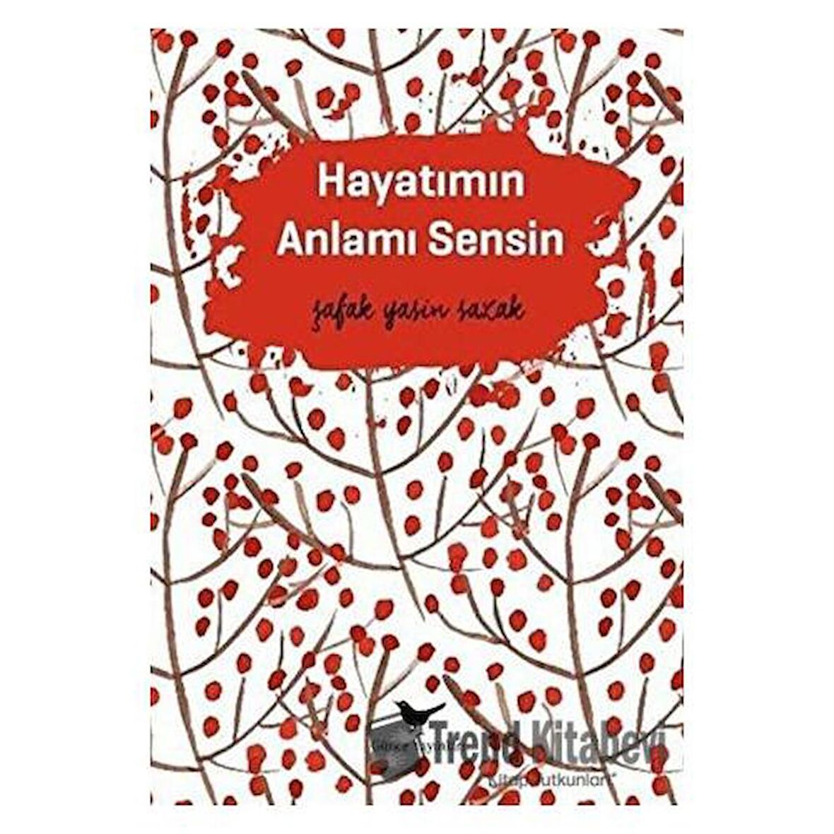 Hayatımın Anlamı Sensin