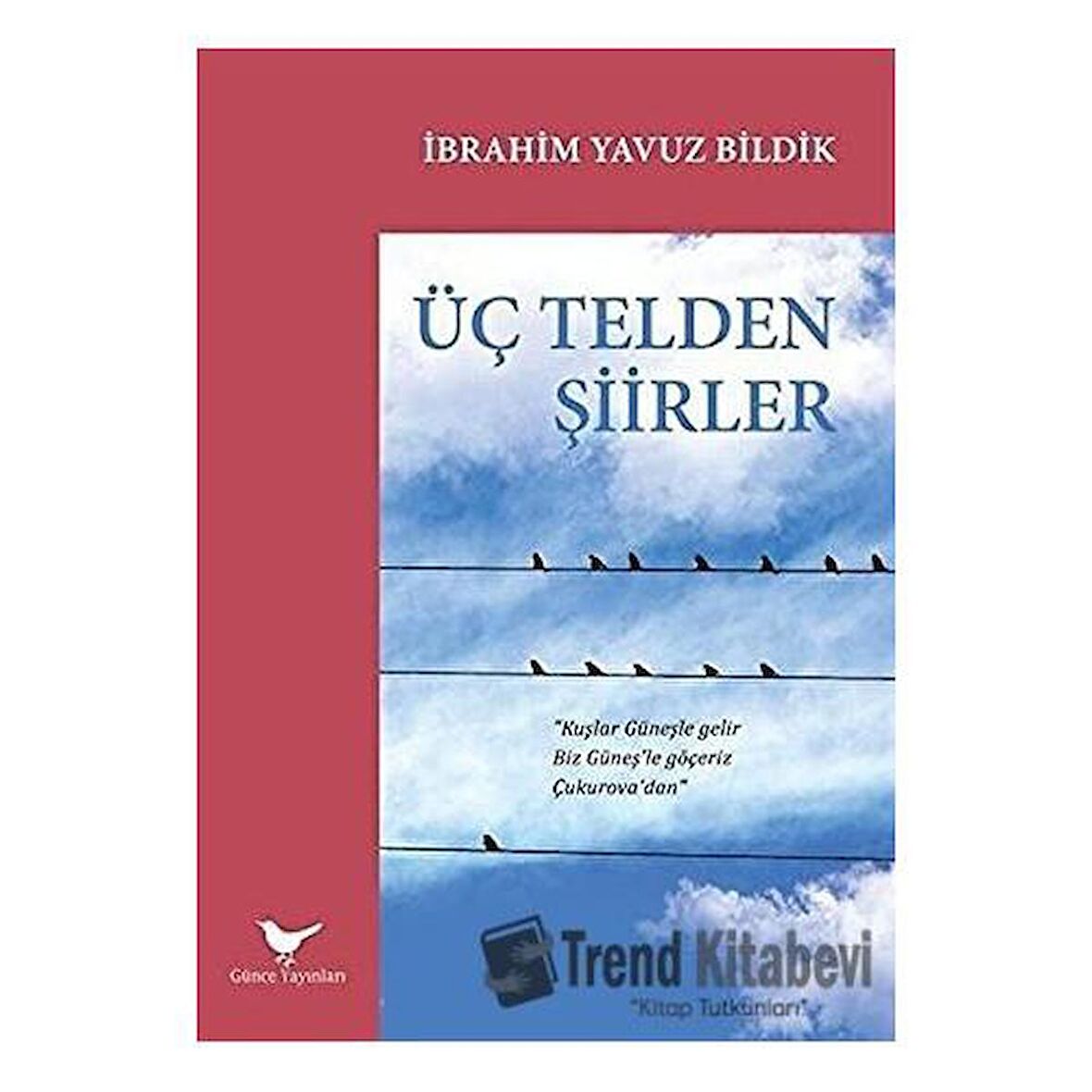 Üç Telden Şiirler