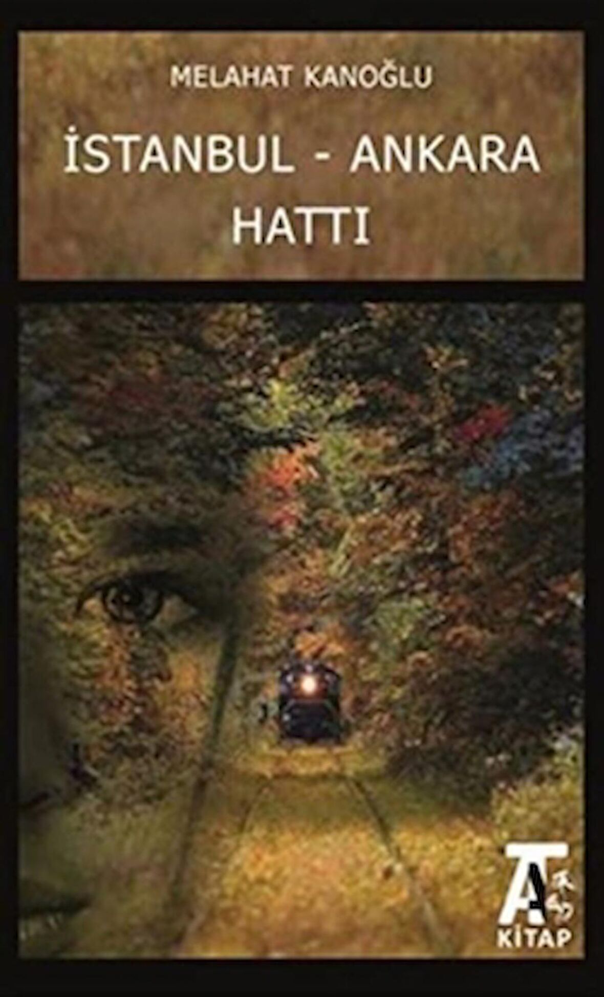 İstanbul - Ankara Hattı