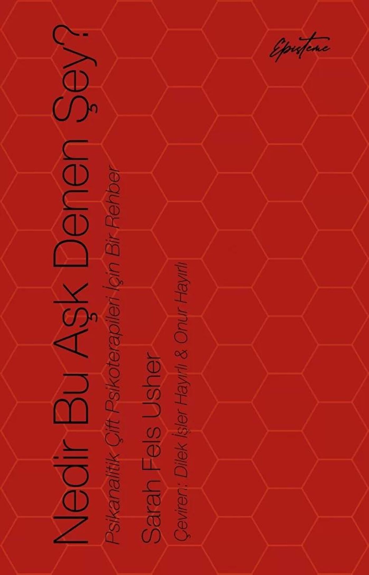 Nedir Bu Aşk Denen Şey?