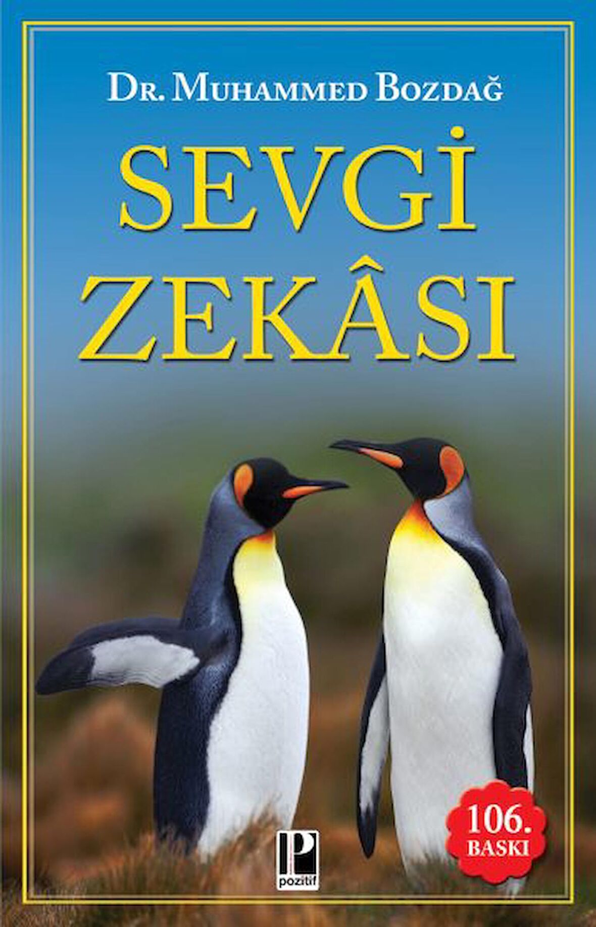 Sevgi Zekası