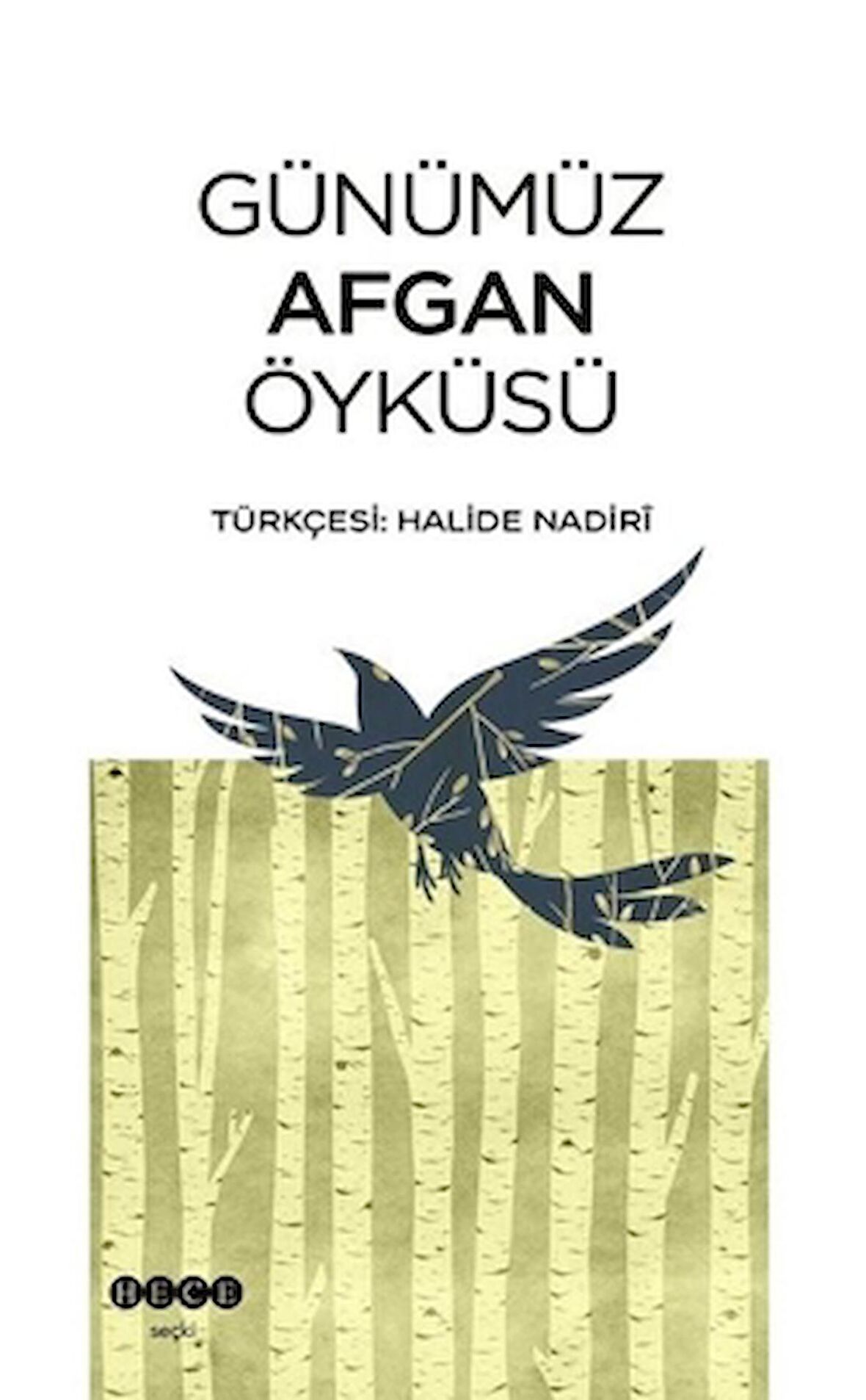 Günümüz Afgan Öyküsü