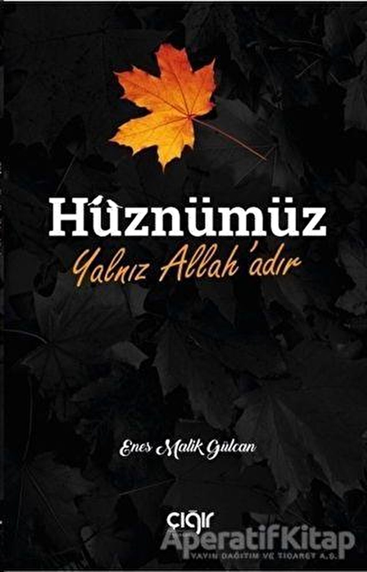 Hüznümüz Yalnız Allah’adır