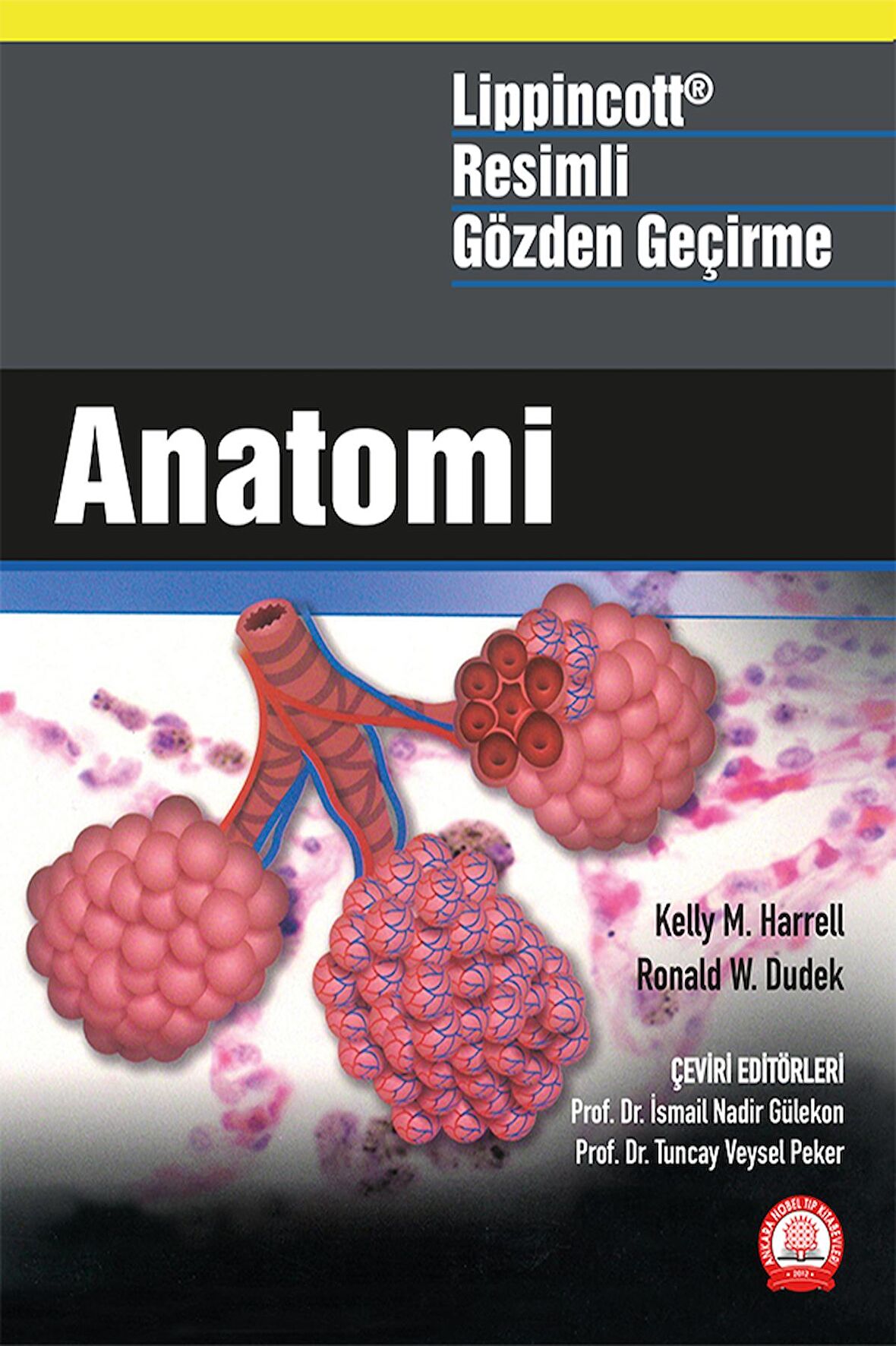 Lippincott Anatomi Resimli Gözden Geçirme