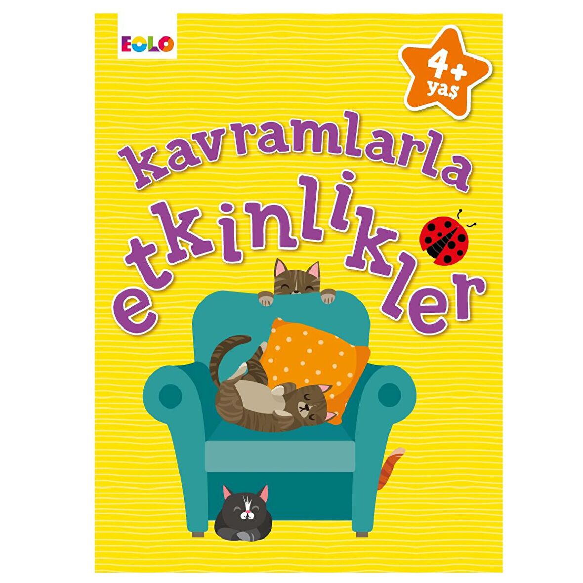 4 + yaş kavramlarla etkinlik