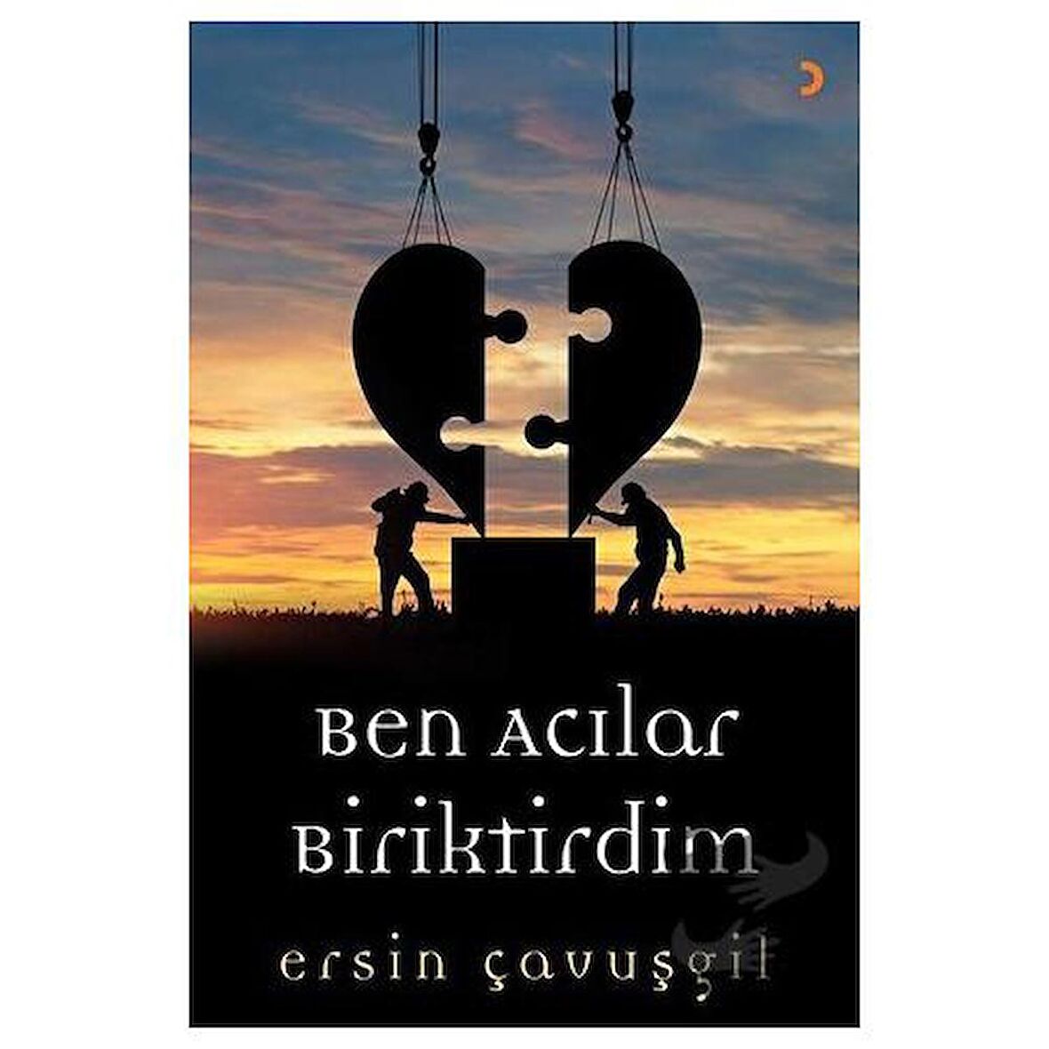 Ben Acılar Biriktirdim