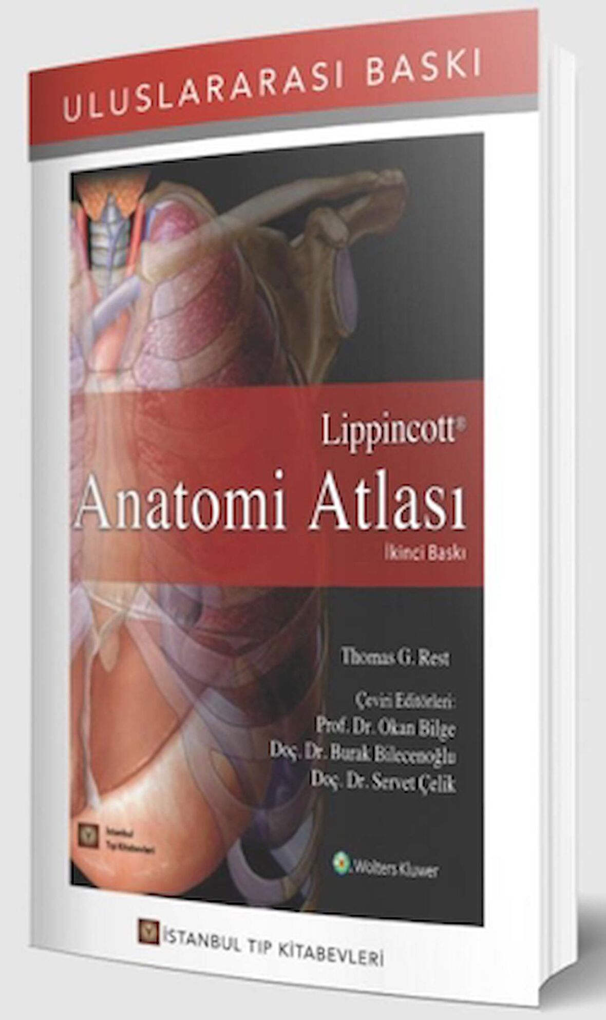 Lippincott Anatomi Atlası