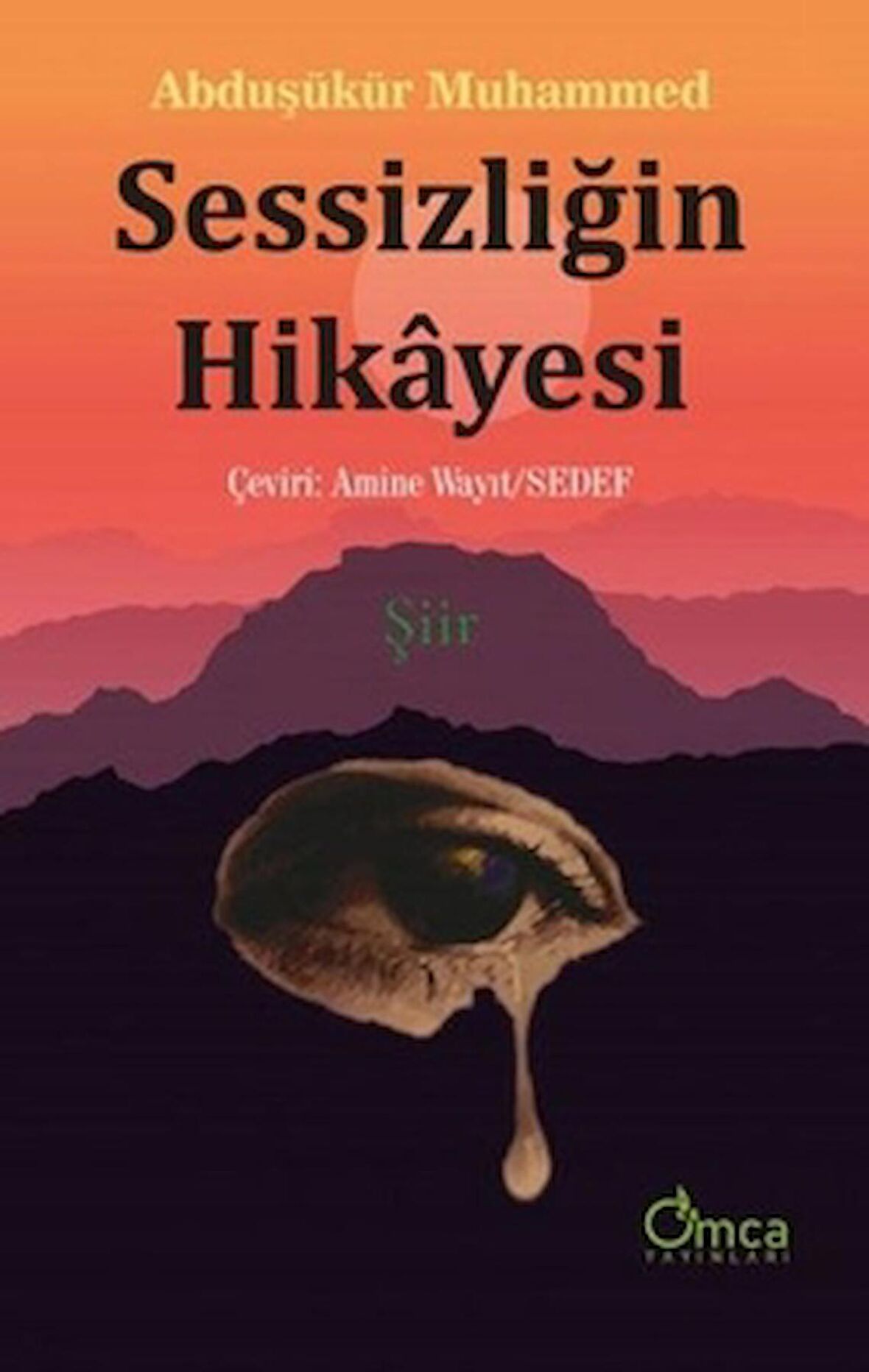 Sessizliğin Hikayesi