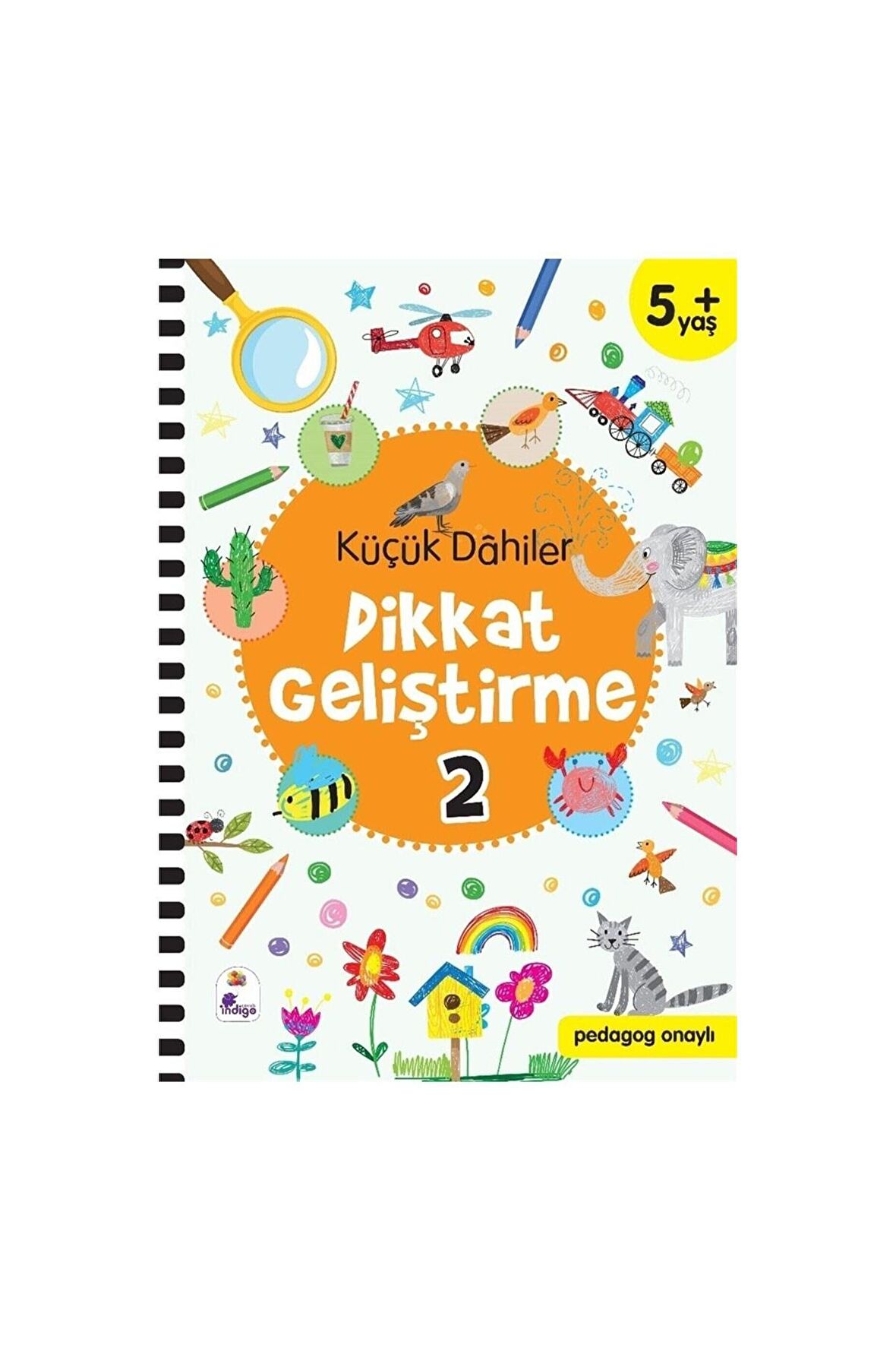 Küçük Dahiler Dikkat Geliştirme 2 (5+ Yaş)