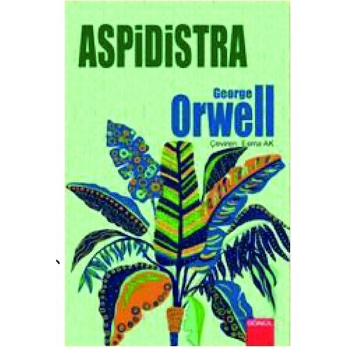 Aspidistra