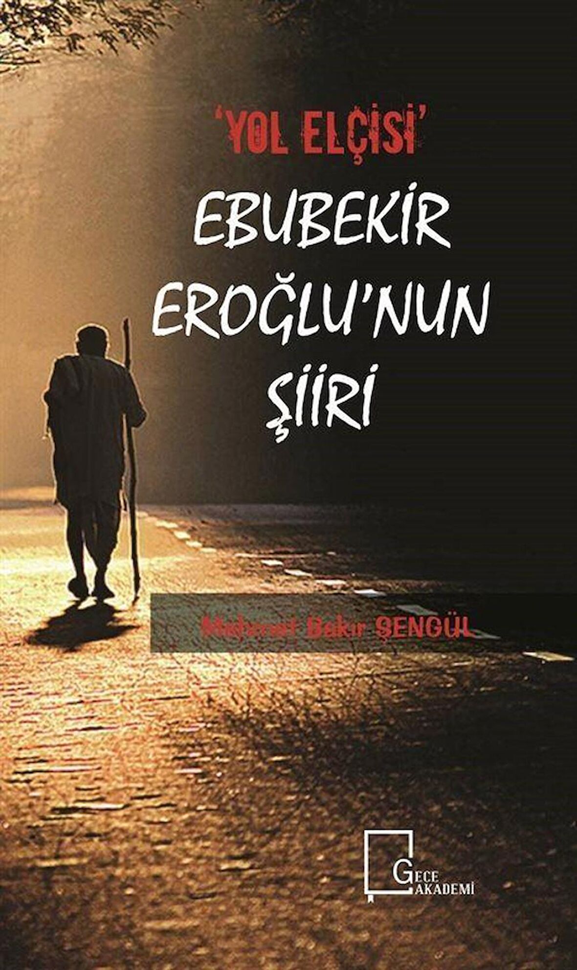 Yol Elçisi Ebubekir Eroğlu'nun Şiiri