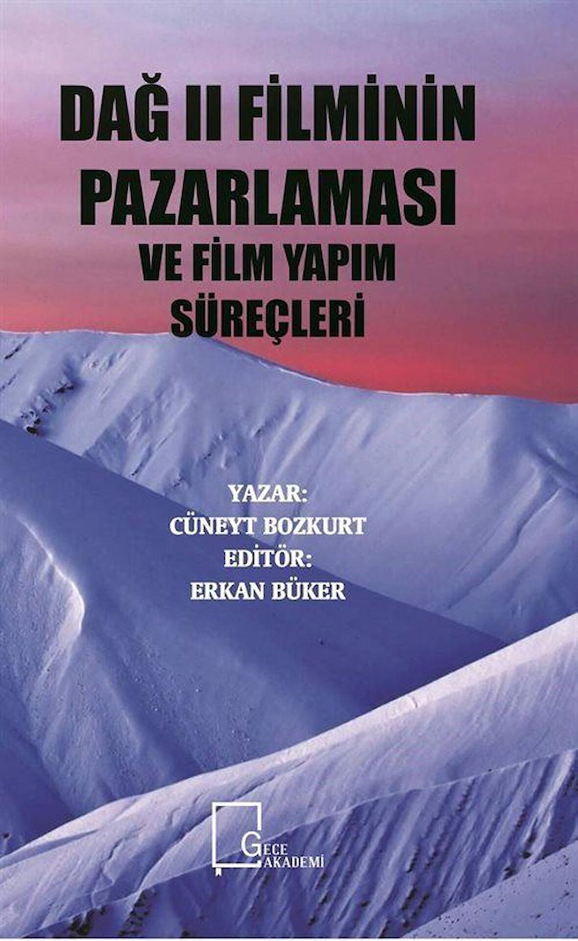 Dağ 2 Filminin Pazarlaması ve Film Yapım Süreçleri