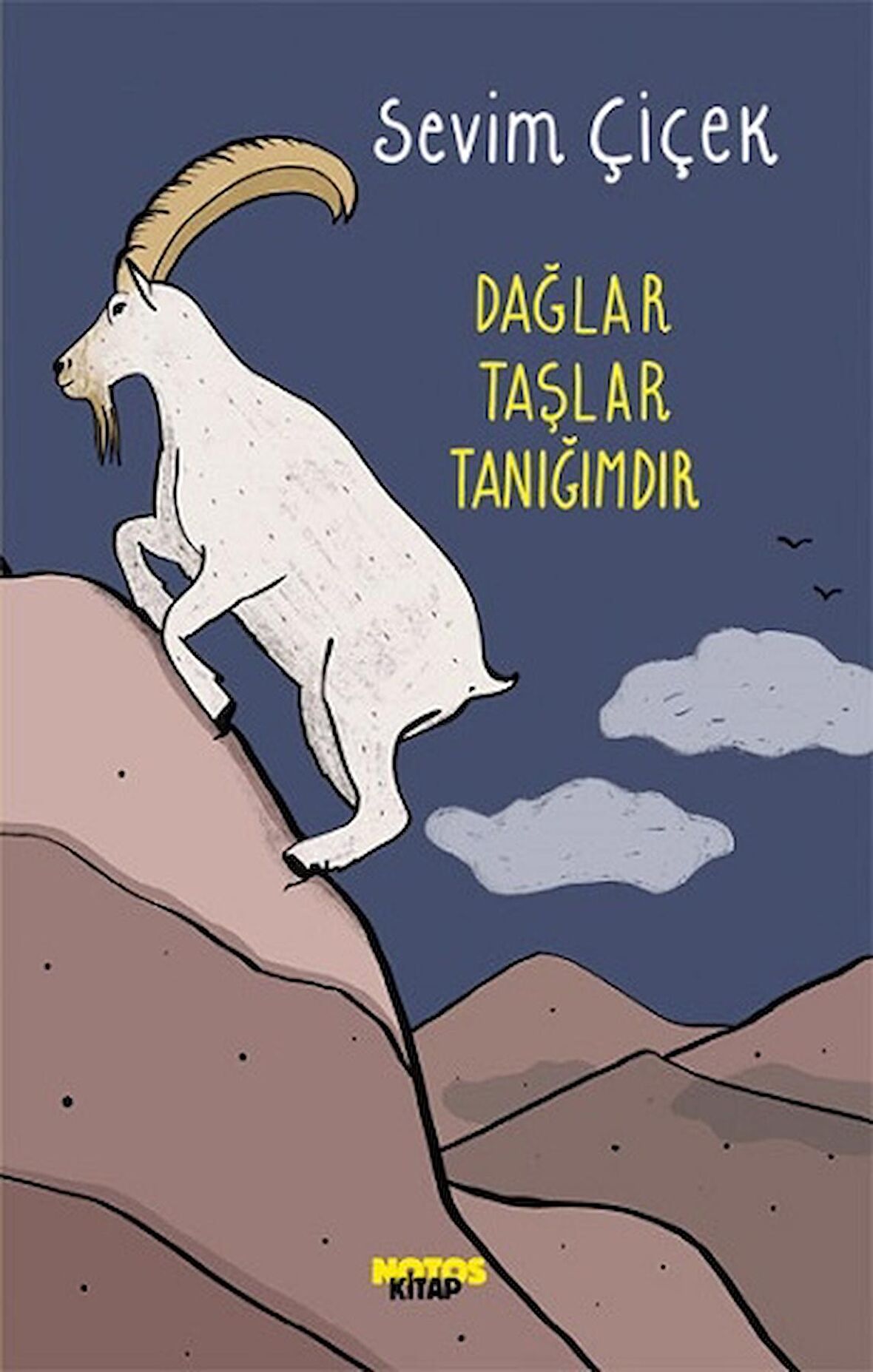 Dağlar Taşlar Tanığımdır