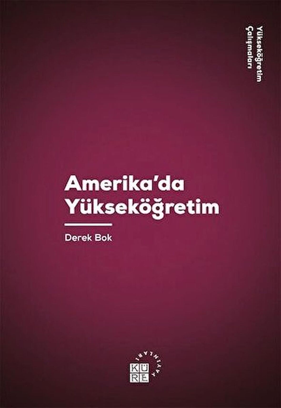 Amerika'da Yükseköğretim