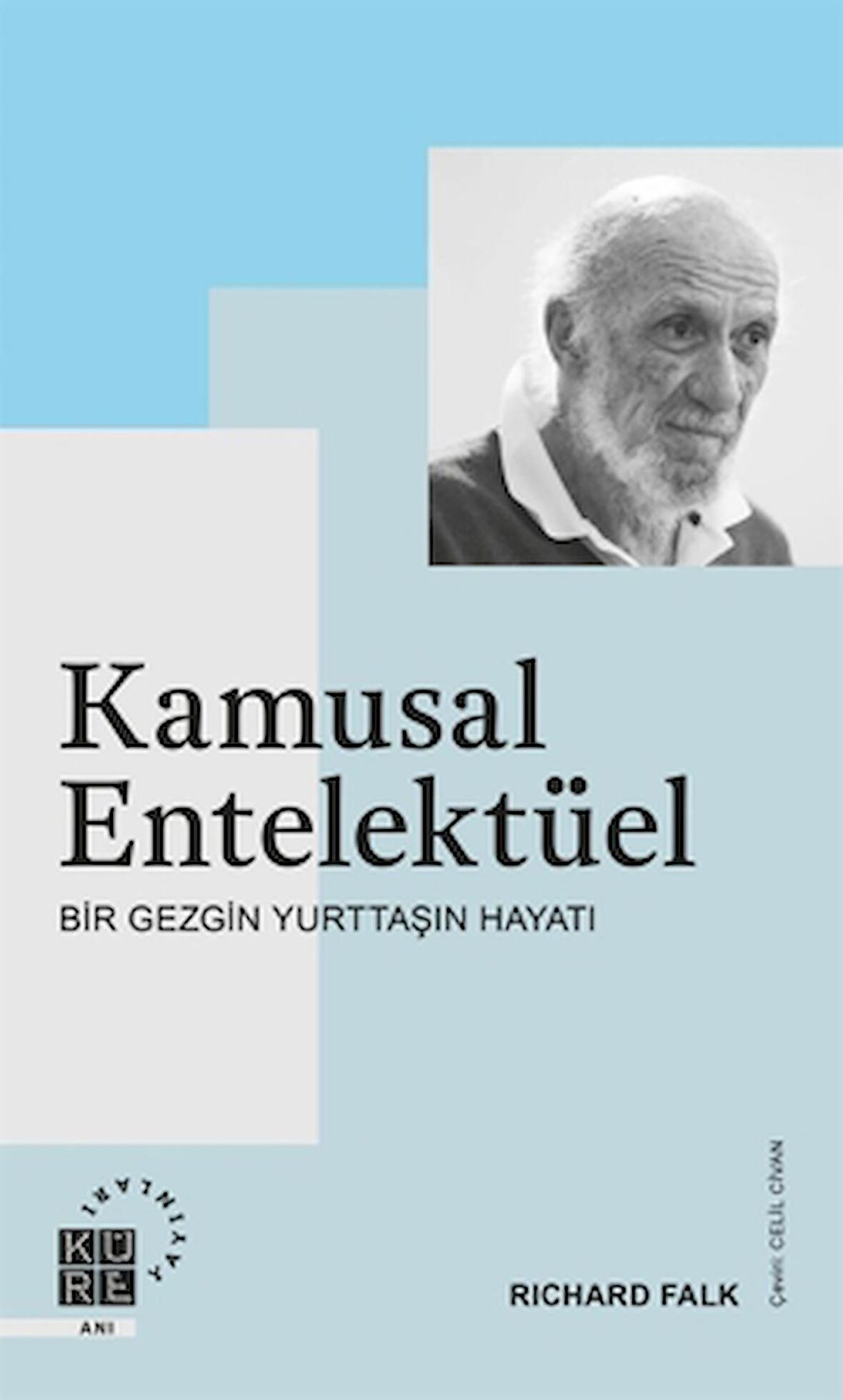 Kamusal Entelektüel