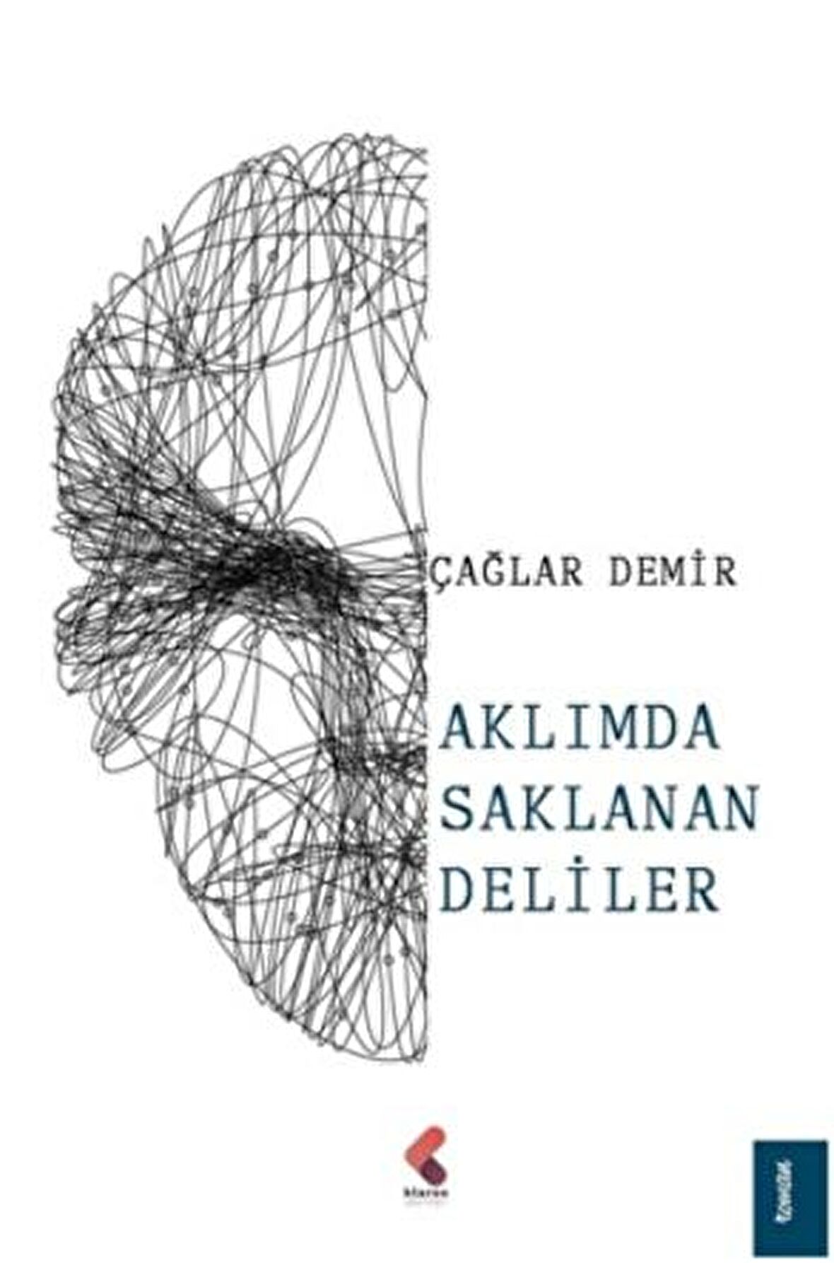 Aklımda Saklanan Deliler