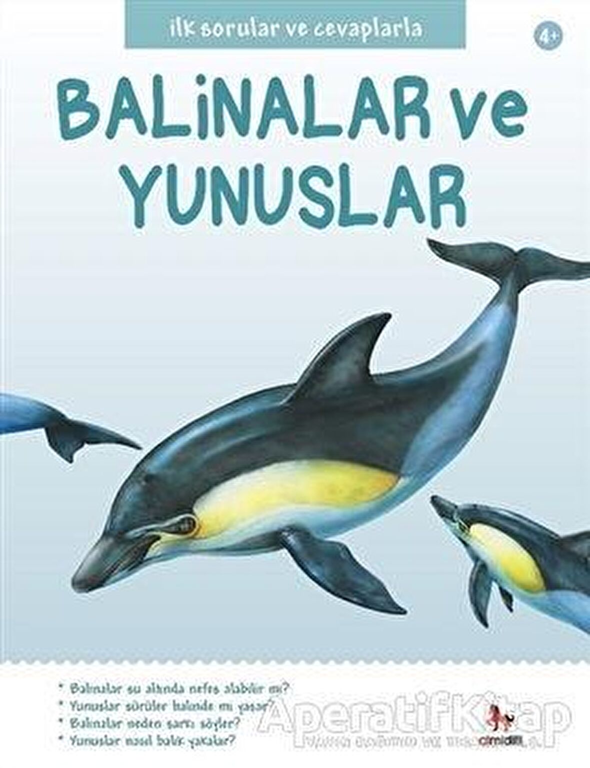 İlk Sorular ve Cevaplarla: Balinalar ve Yunuslar